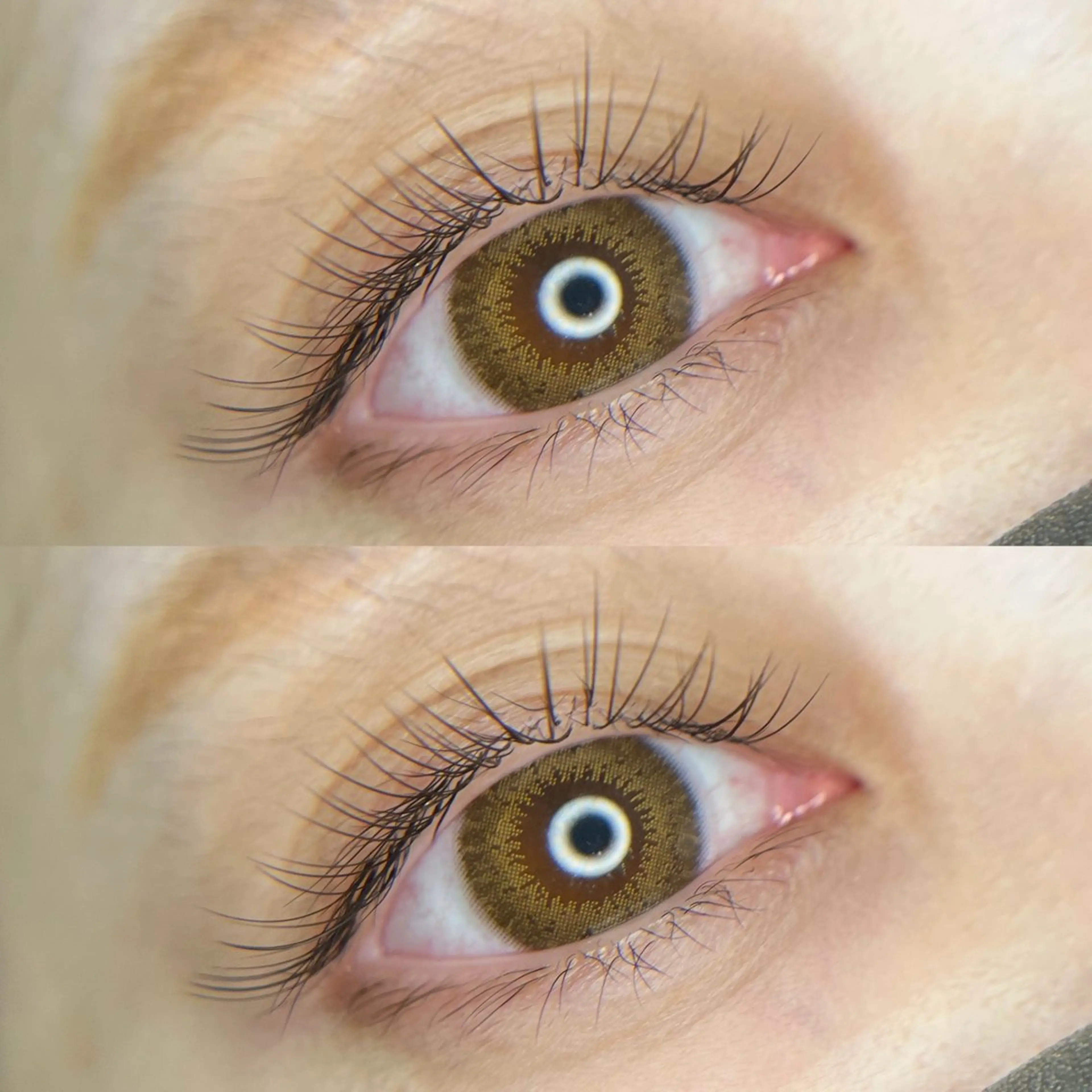 最先端🤍LEDエクステ80or100本　※オフ有りの写真