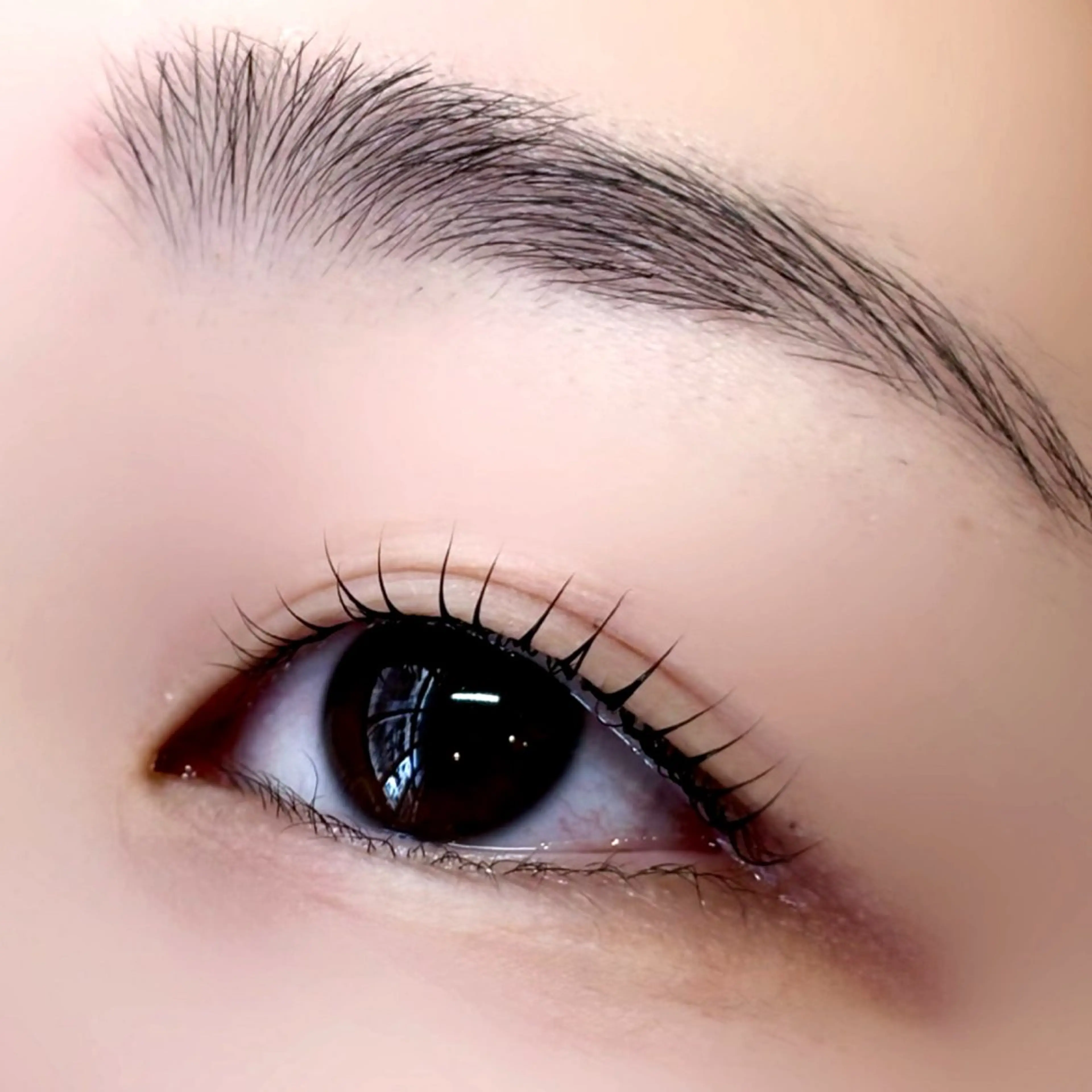 マツエク・マツパ まつげパーマ マツパ lino eyelash&eyebrow淡路店所属・【lino】 Reina🎀のマツエク・マツパデザイン