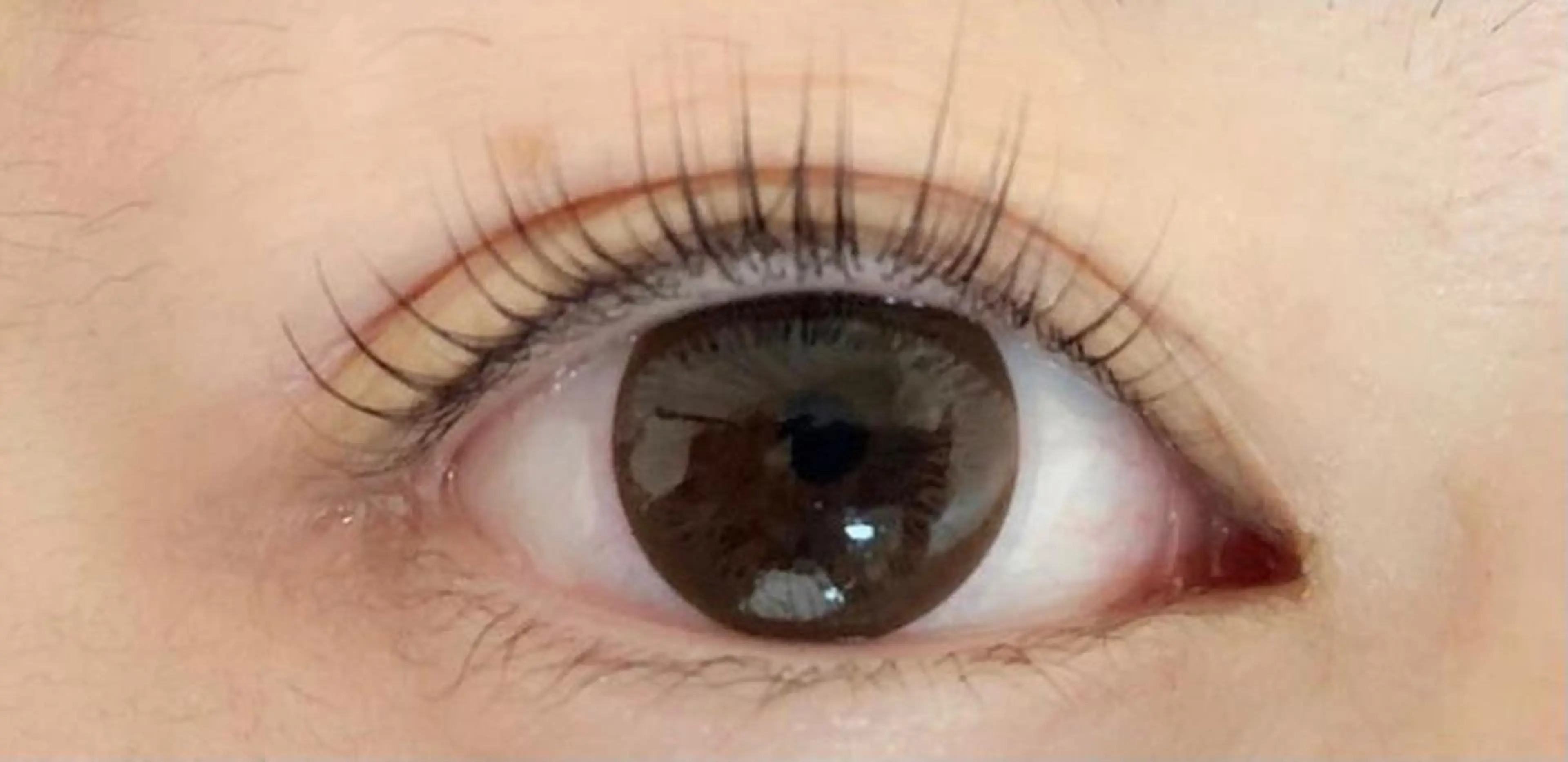 マツエク・マツパ パリジェンヌラッシュリフト 香里園 eyelashNonのマツエク・マツパデザイン