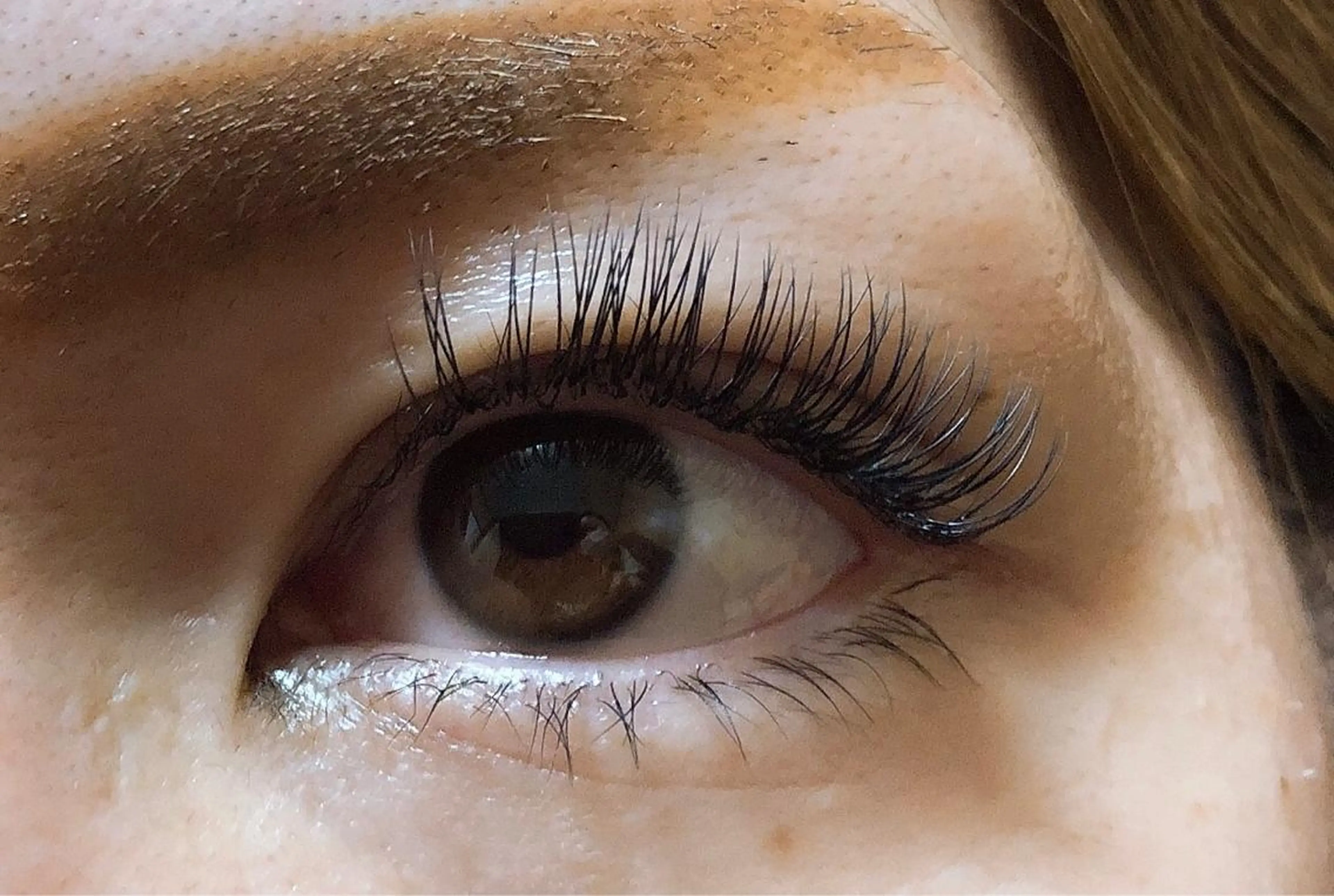 ボリュームラッシュ  480本  ¥6,000の写真