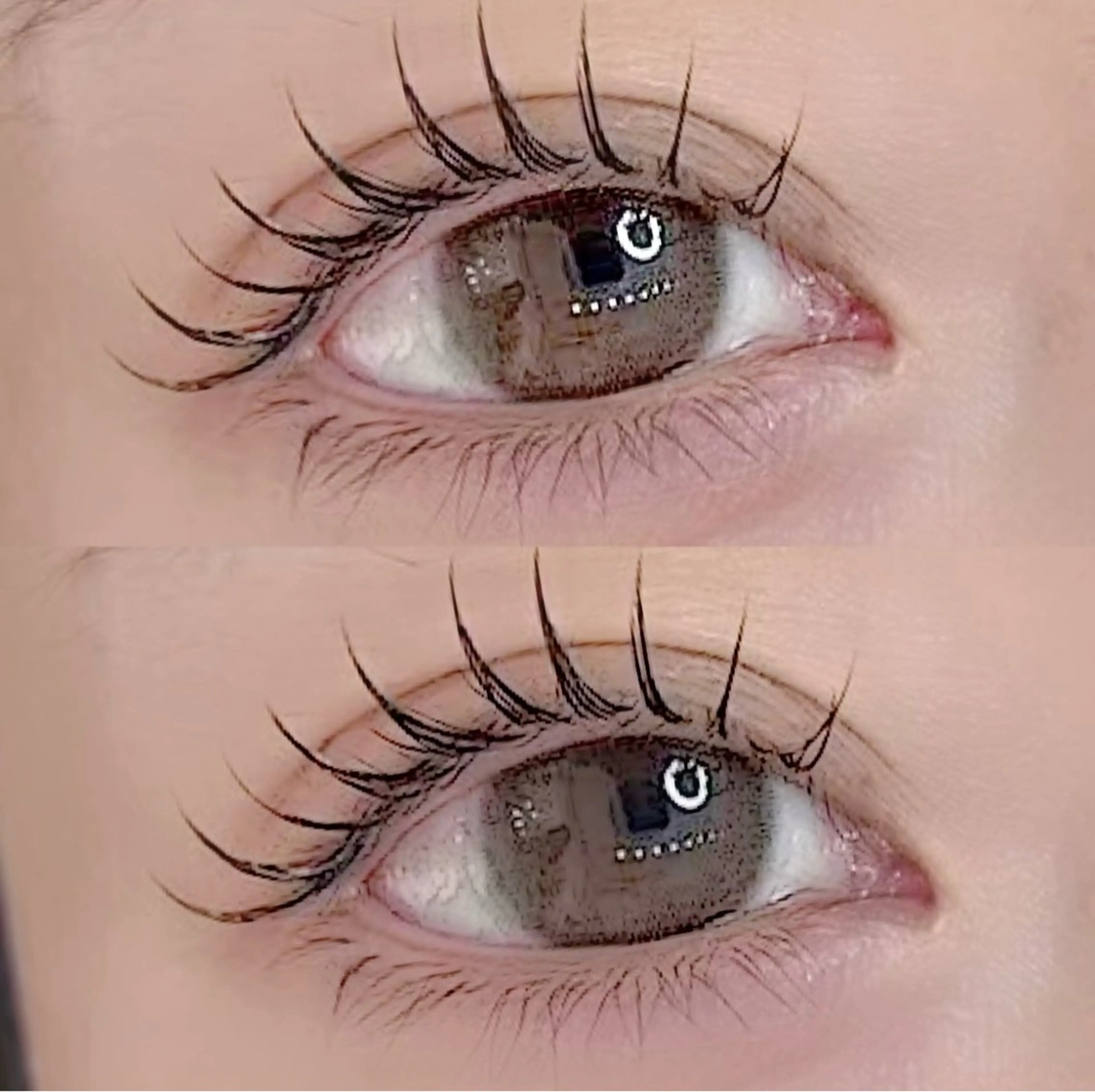 12月13日 10:00 限定  🌷LEDマツエクオフ込みフラットラッシュ最大１００本🌷の写真