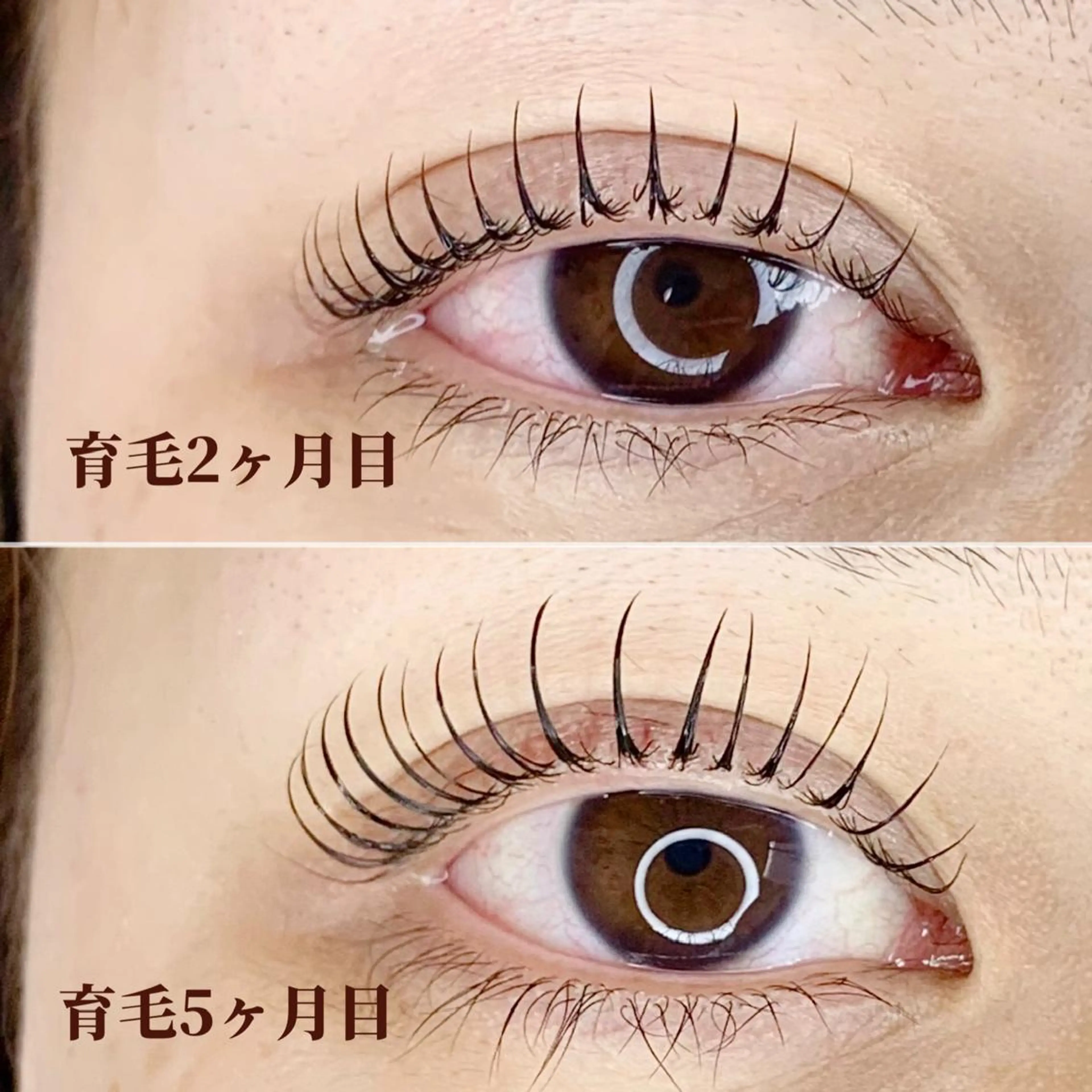 マツエク・マツパ chill&private A/N まつげパーマ/上下まつげパーマ/パリジェンヌ/南与野所属・まつげパーマ専門店 A/N南与野のマツエク・マツパデザイン