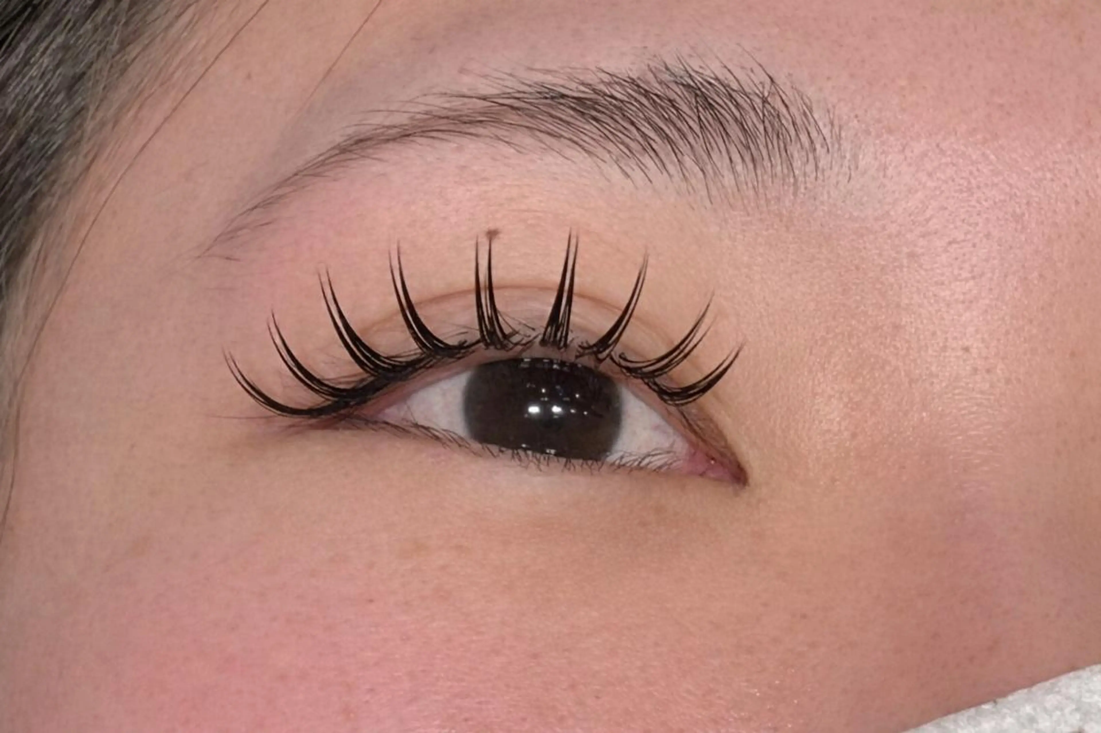 マツエク・マツパ マツエク 艶髪カラー💙ྀི/ アイ兼任👀/ミナルのヘアスタイル