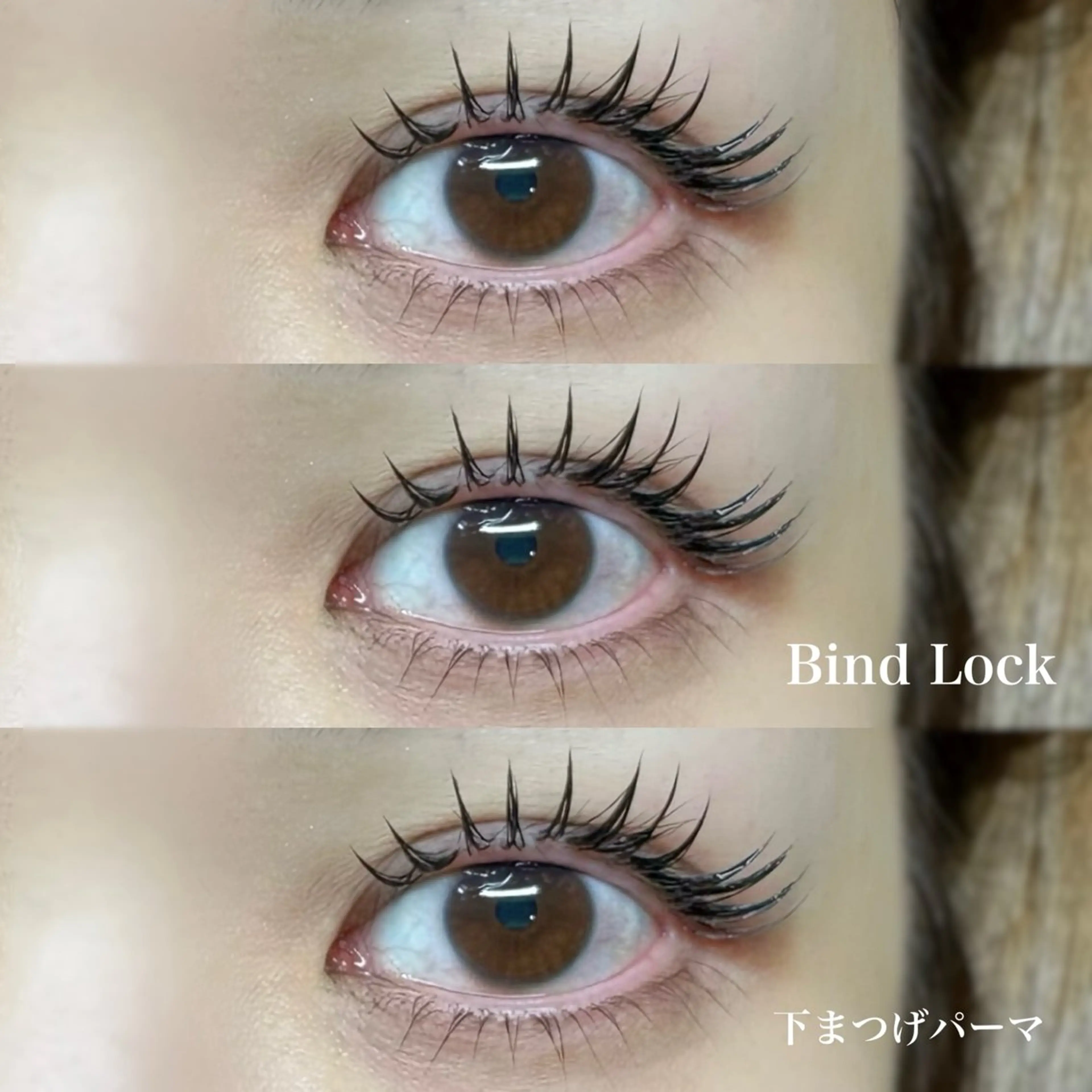 ✿再来✿バインドロック200本(100束)の写真