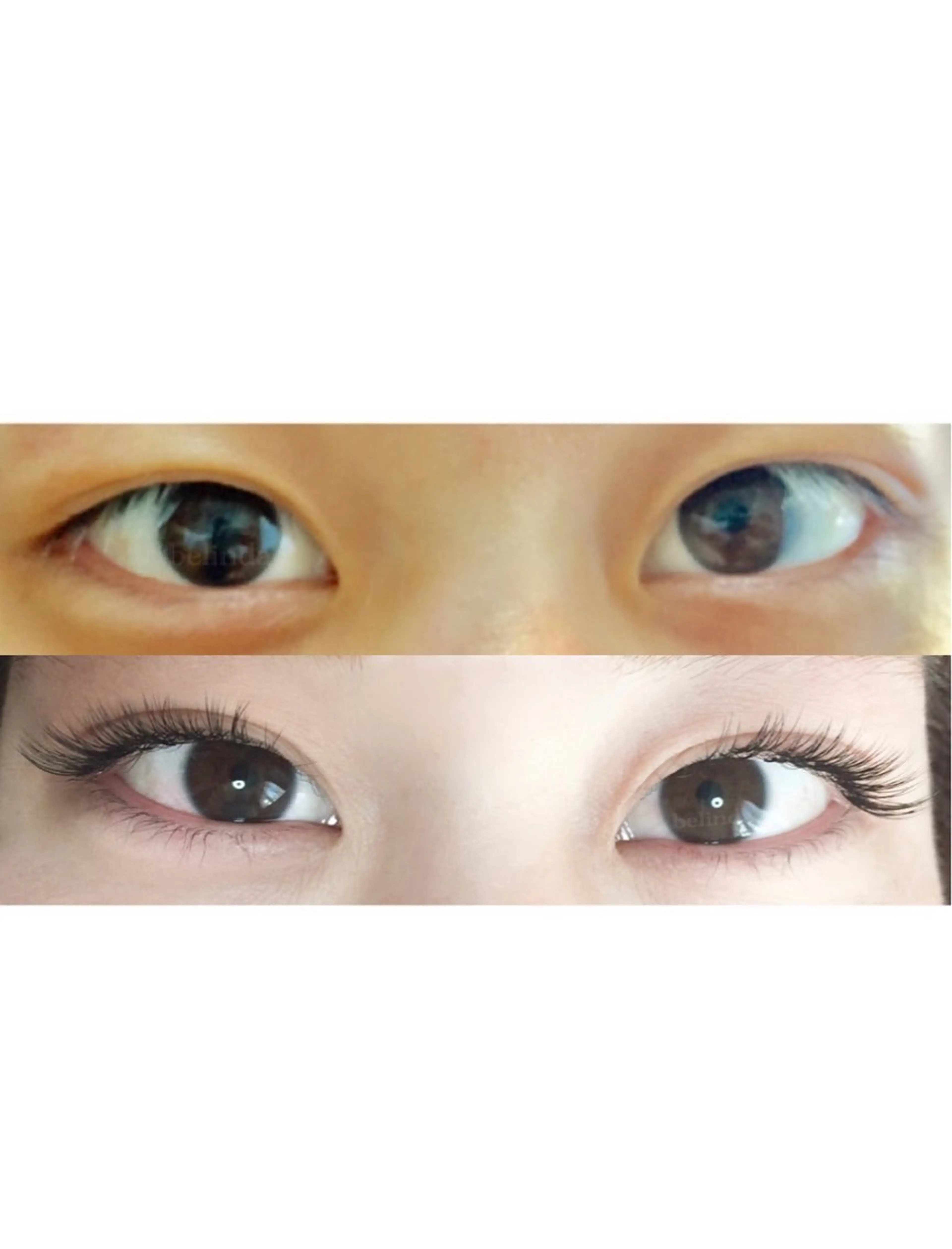 【高級セーブル使用】ボリュームラッシュ２００本＆アップワードラッシュ UPwardlashの写真