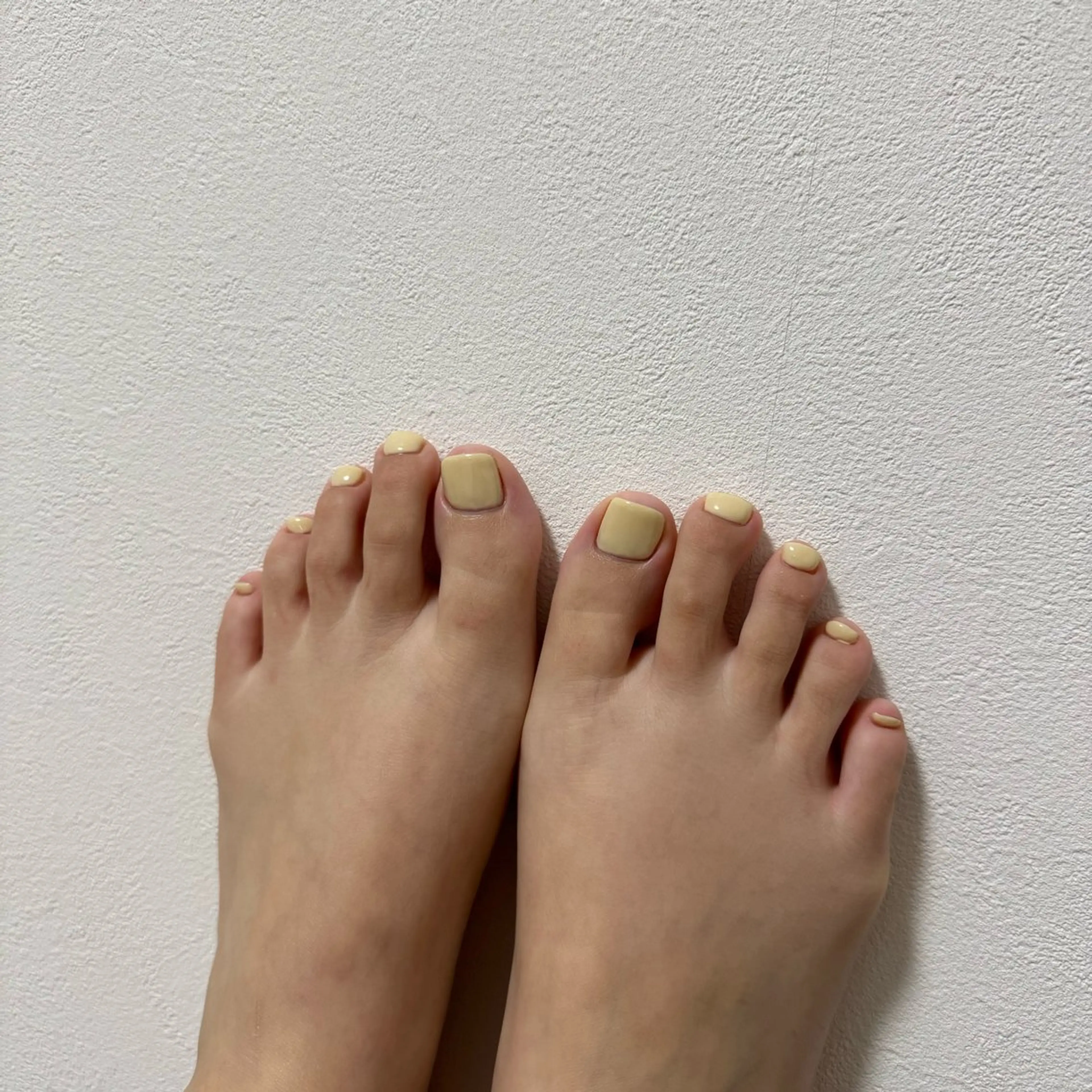 【オフなし】ワンカラーの写真