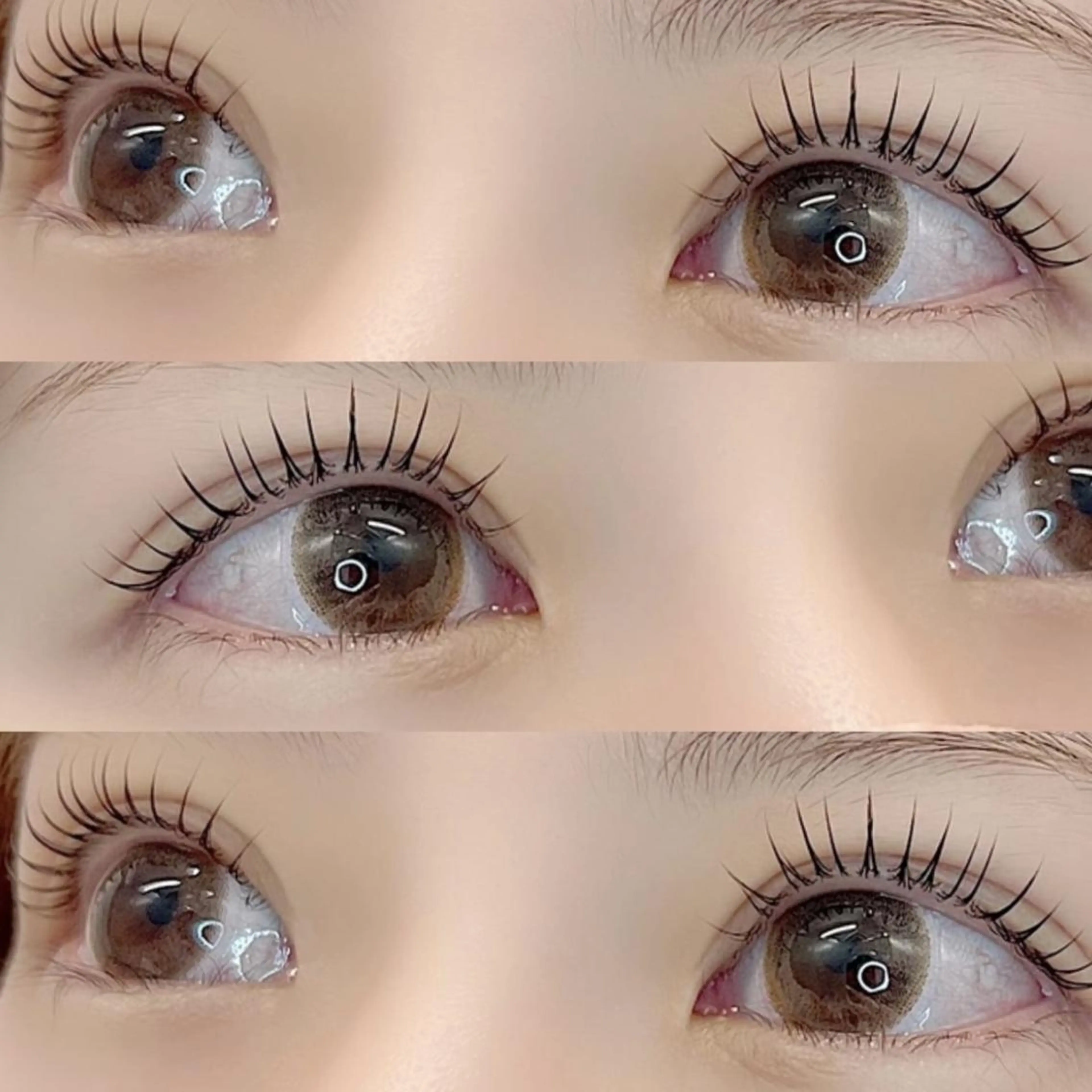 🍨当日次回予約🍨パリジェンヌラッシュリフト✨の写真