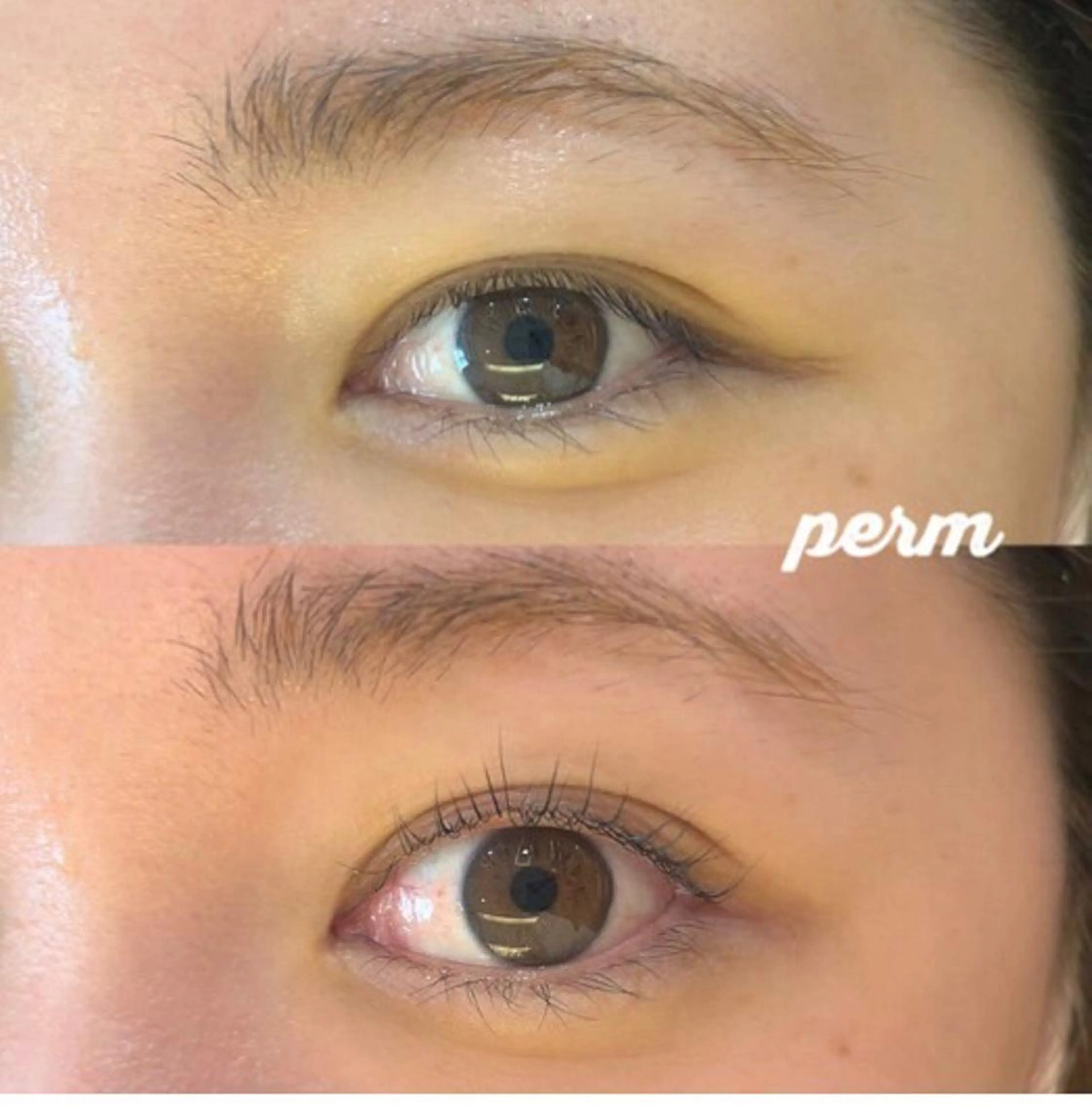 マツパ3.980円  トリートメント付きの写真