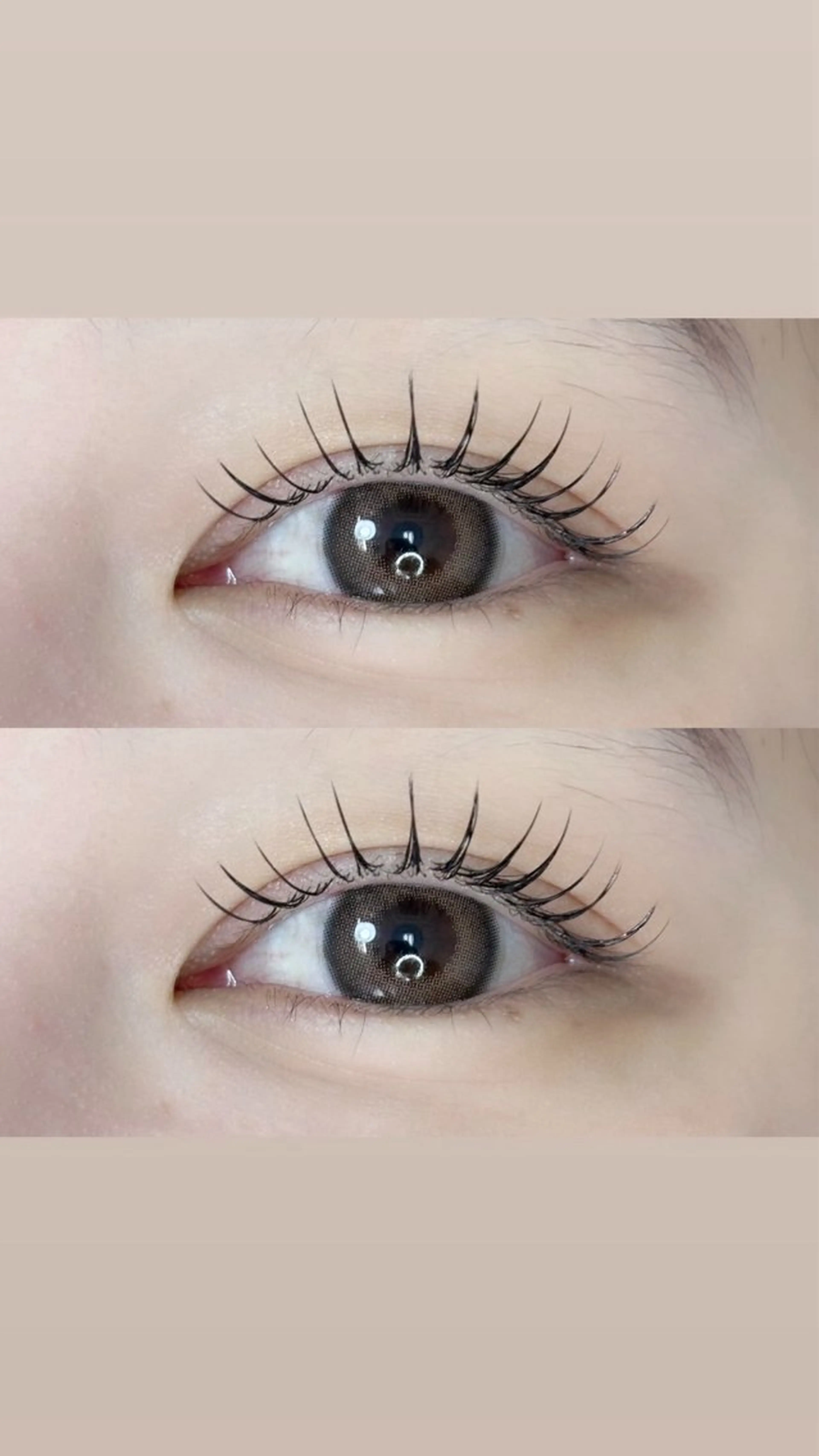 【モデル】シングル100本🪽フラット+550円の写真