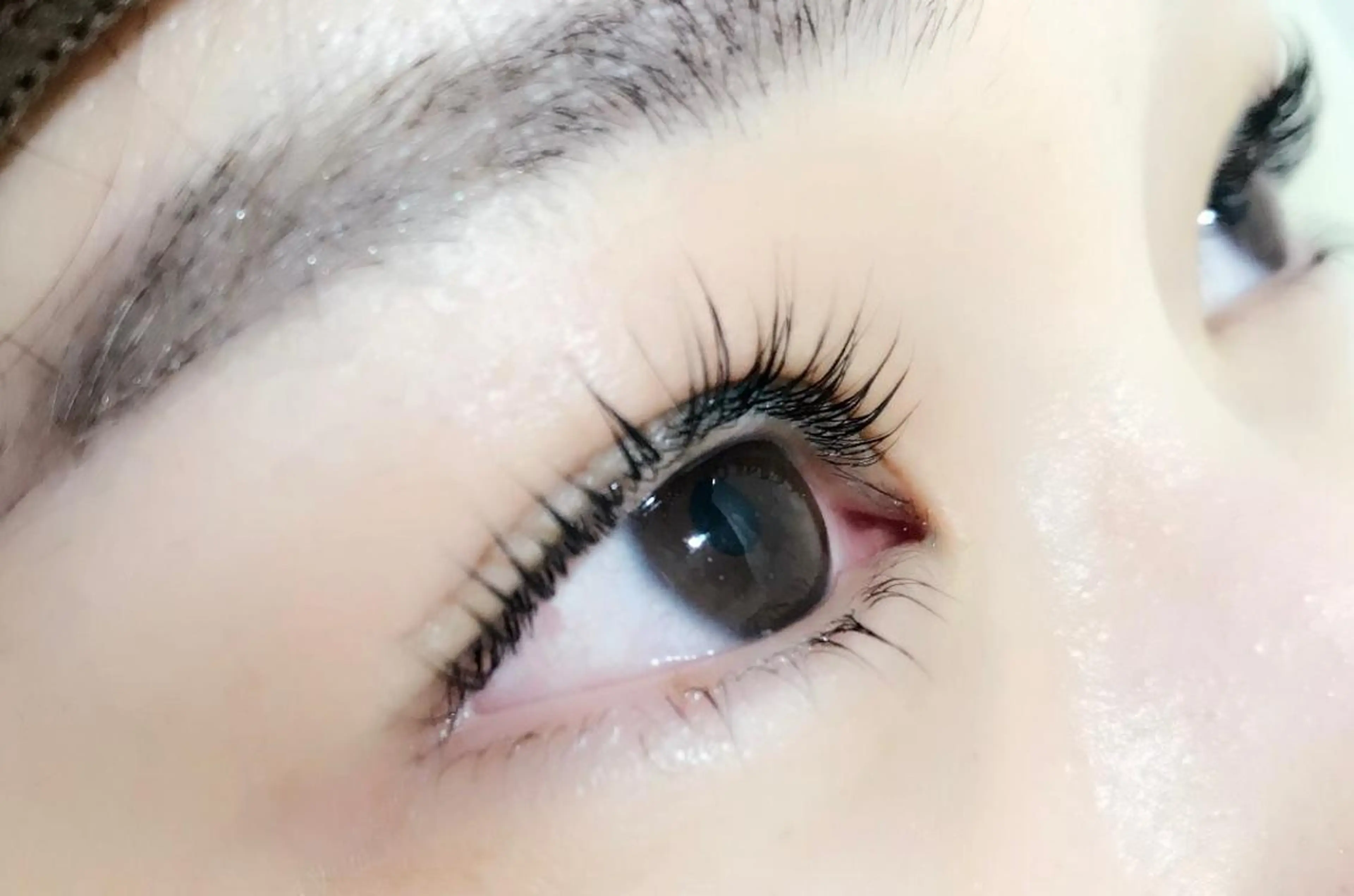 【2回目以降】上下コラーゲンまつげパーマ(美容コーティング付き)の写真