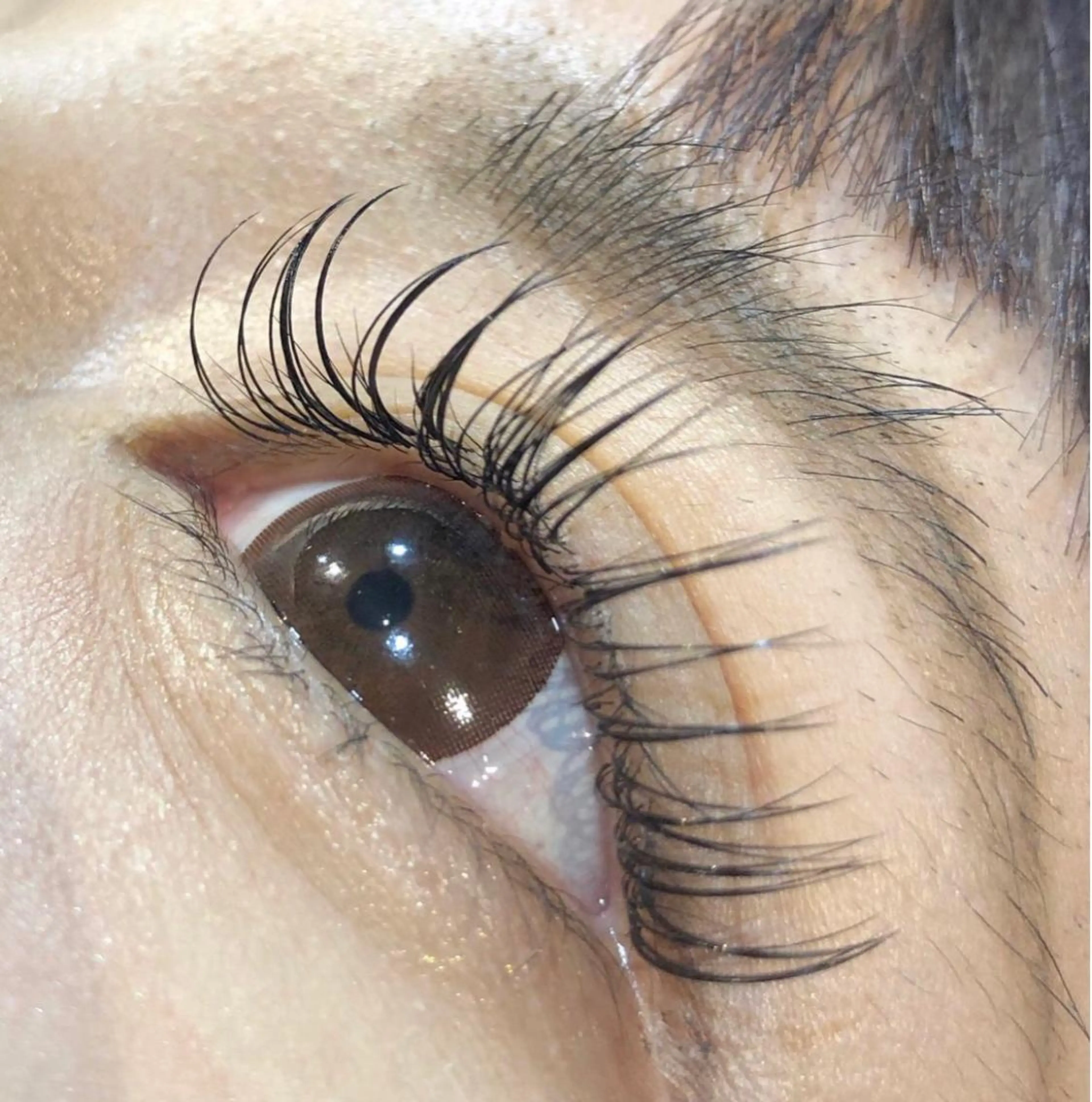 マツエク・マツパ Ai Quick 北千住🌿saitoの眉毛・アイブロウイメージ