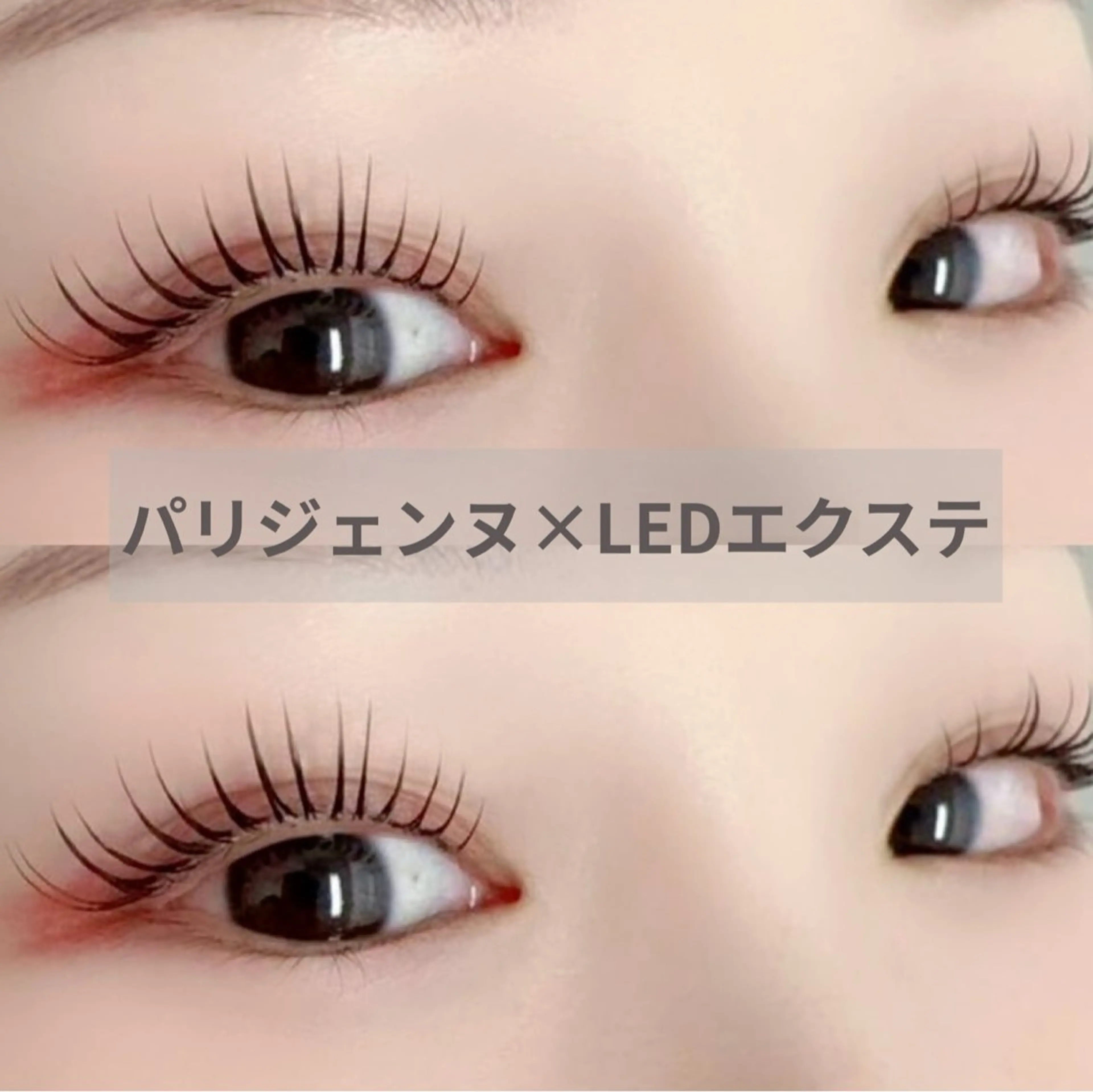 ▼【OPEN記念】パリエク / パリジェンヌラッシュリフト×LEDフラットラッシュ80~140本(アイシャンプー付)▼の写真