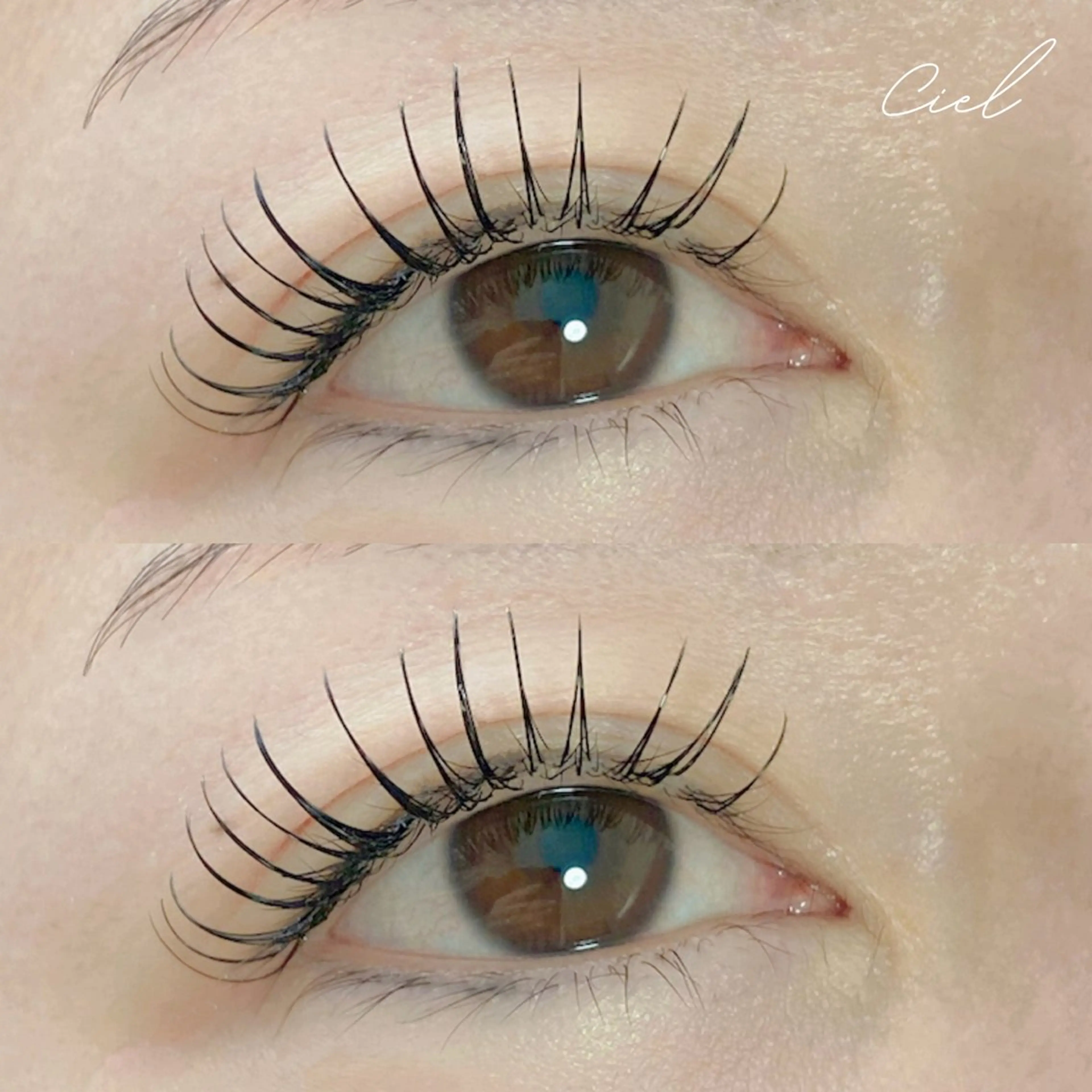 フラットラッシュ160本の写真