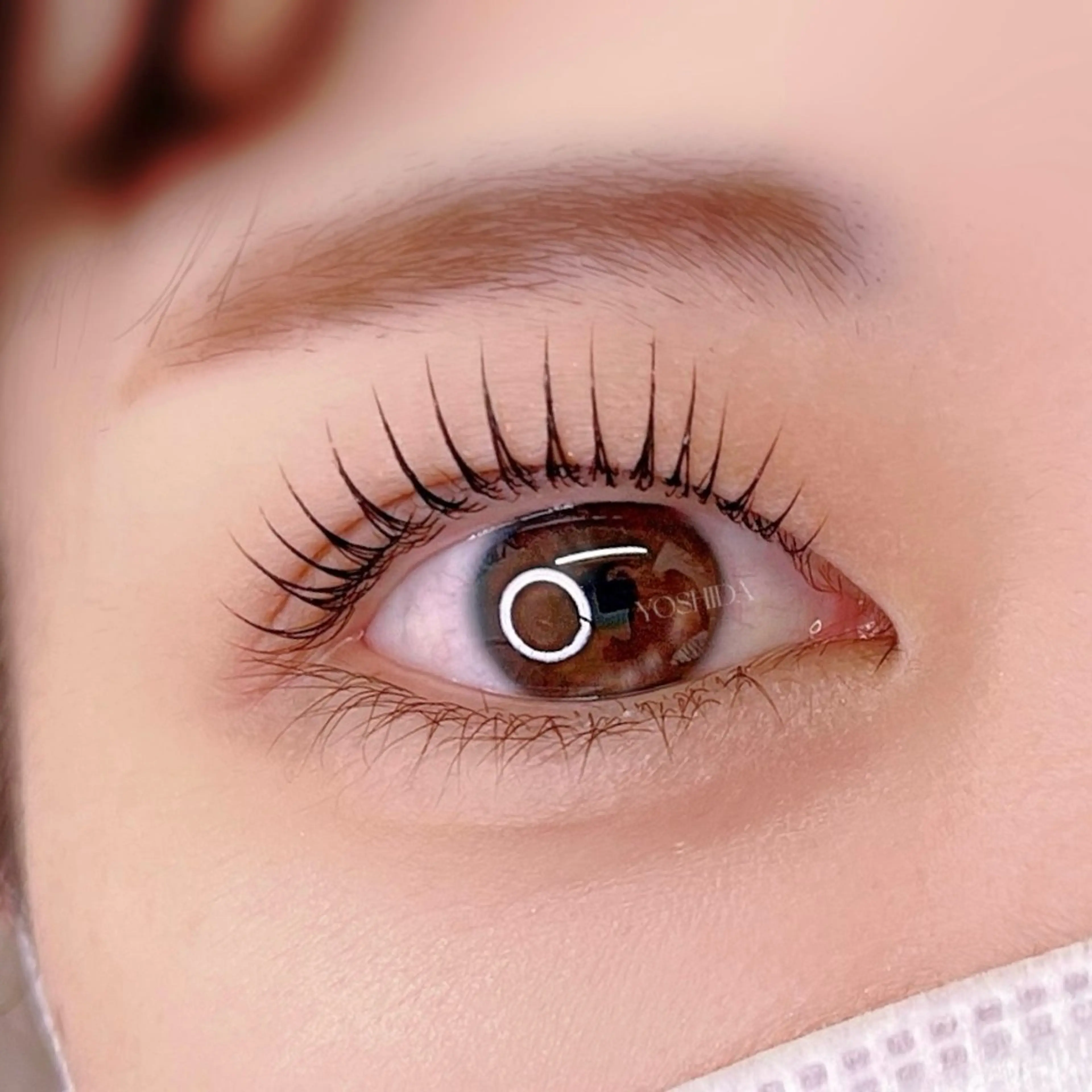 マツエク・マツパ 【一重┊︎奥二重】 YOSHIDA🌙のマツエク・マツパデザイン