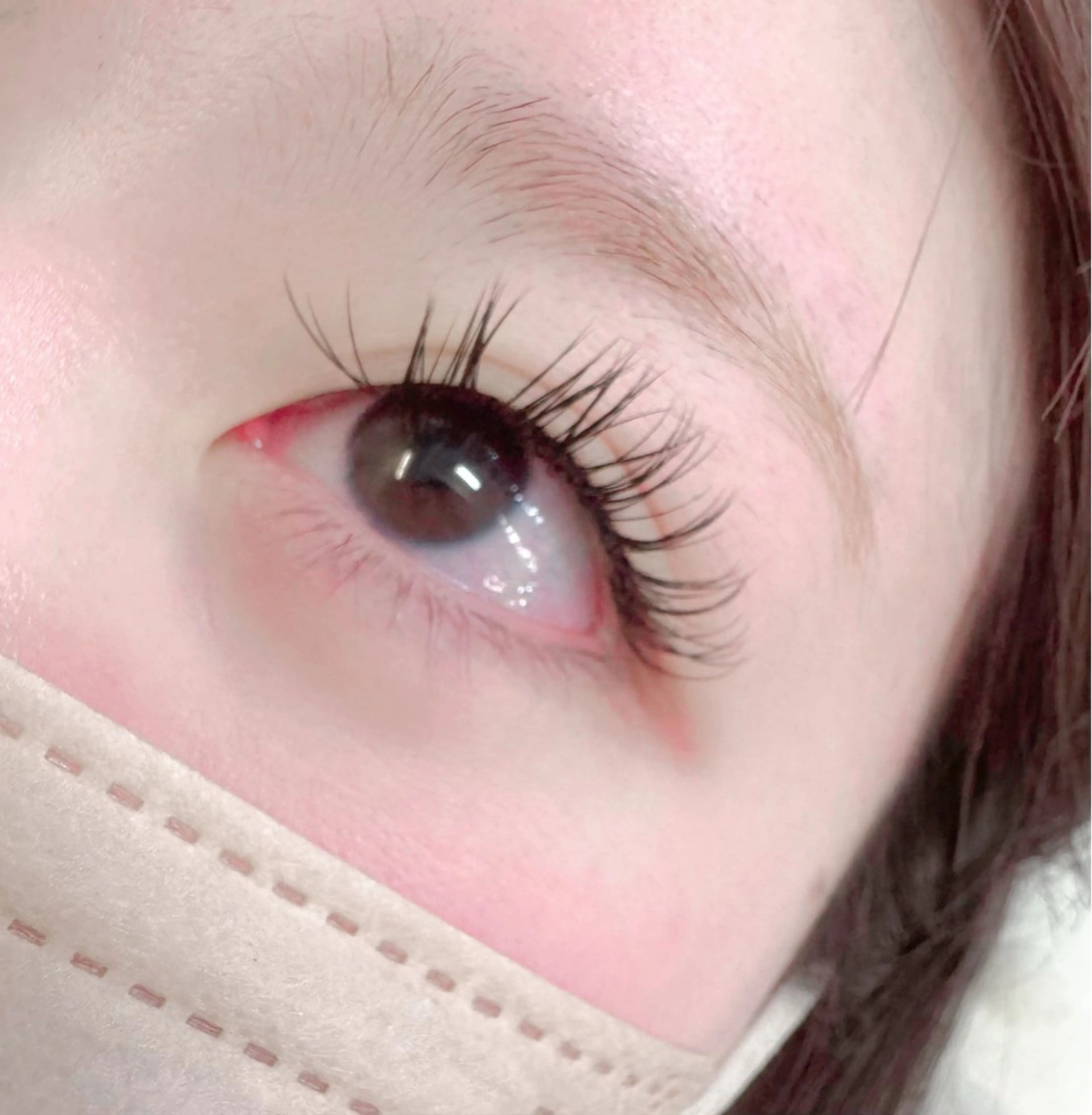 マツエク・マツパ Dカール セーブル TRU🍑 MOMOの眉毛・アイブロウイメージ