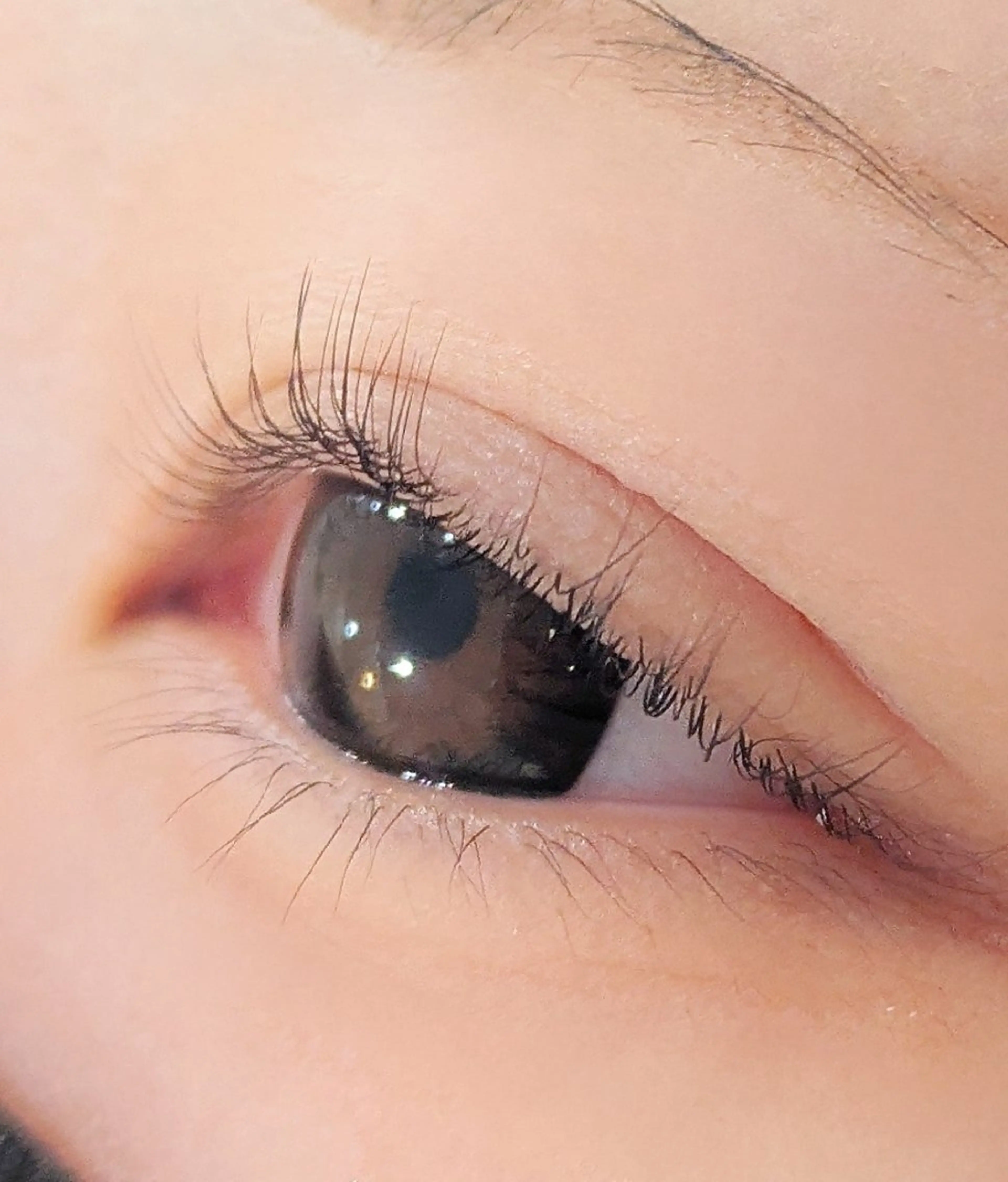 マツエク・マツパ eyelashZen RINGO︎🤍のマツエク・マツパデザイン