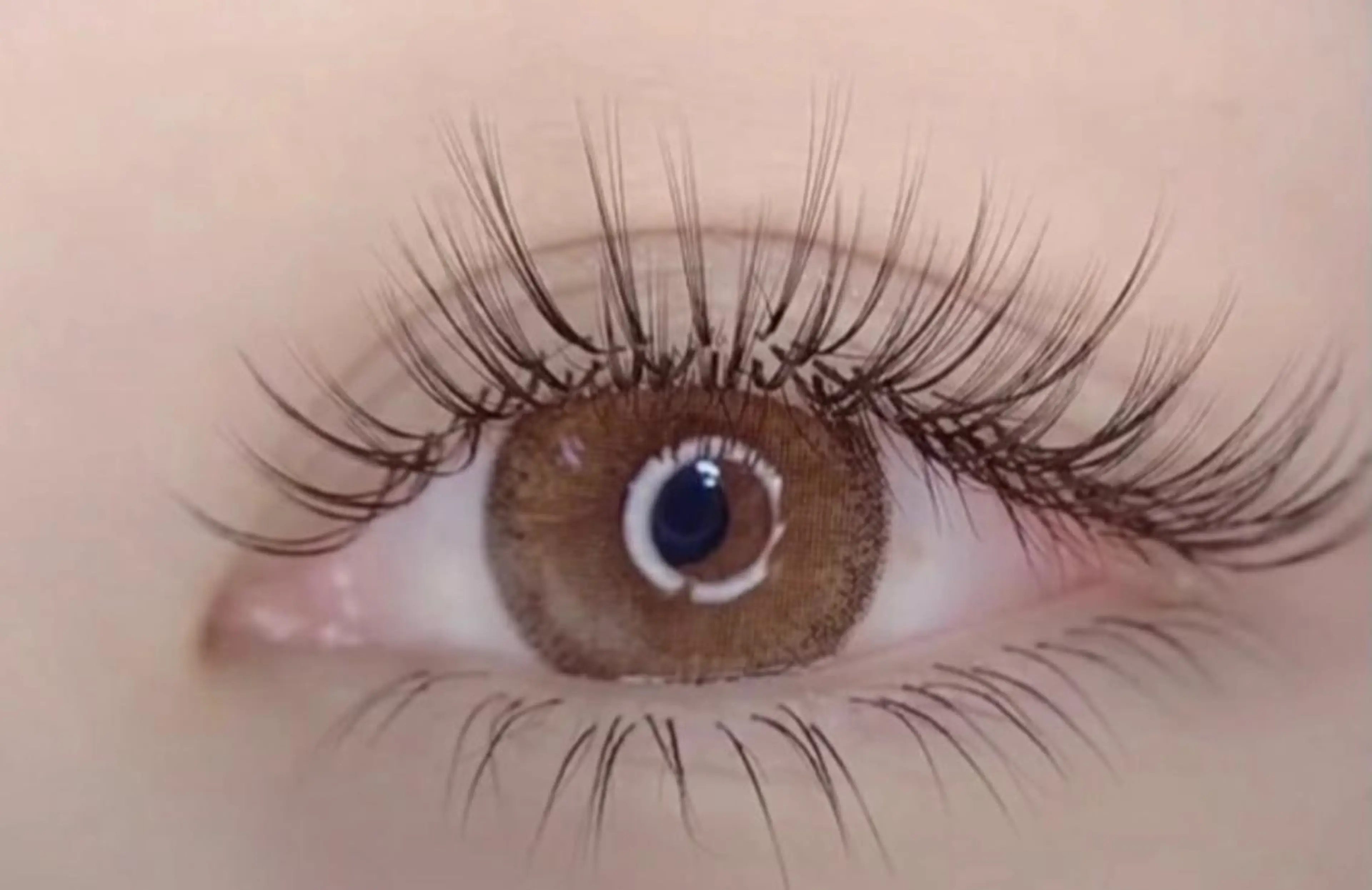 🧚‍♂️人気No.👍3Dボリュームラッシュ240本🧚‍♂️ 付け足し👌の写真