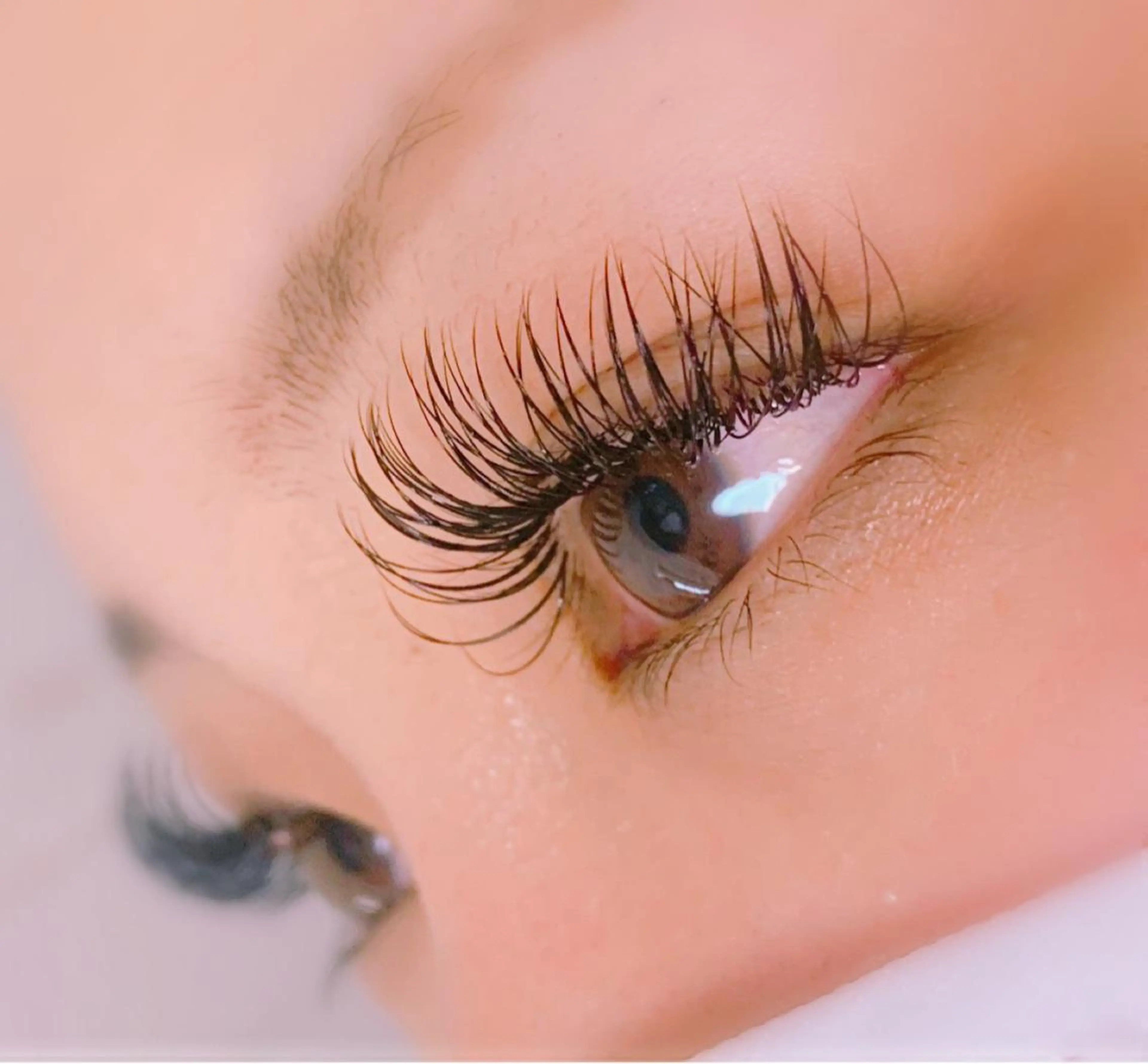 マツエク・マツパ CCカール Cカール マツエク CREVIO .のマツエク・マツパデザイン