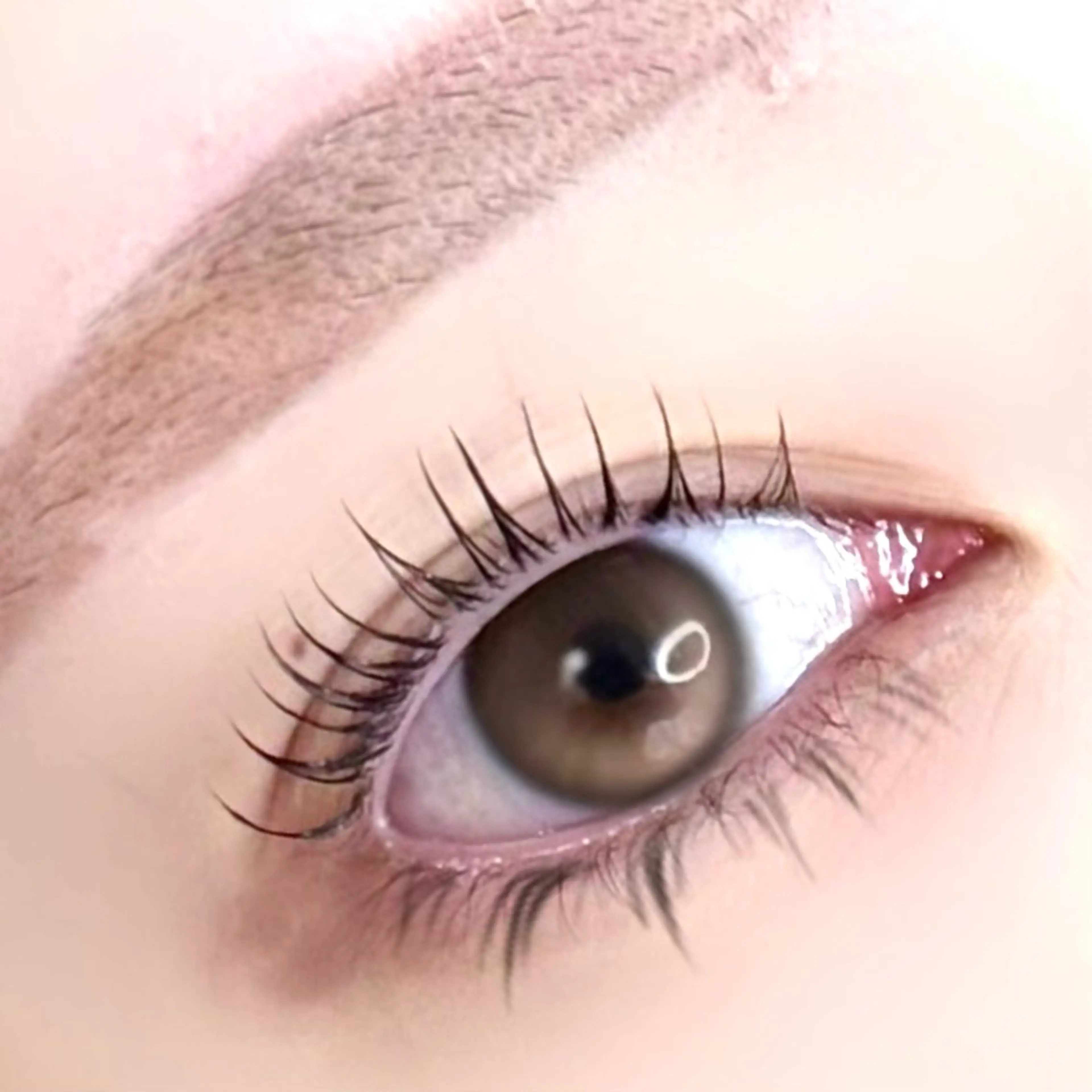 マツエク・マツパ パリジェンヌラッシュリフト Kamie Yusaのマツエク・マツパデザイン