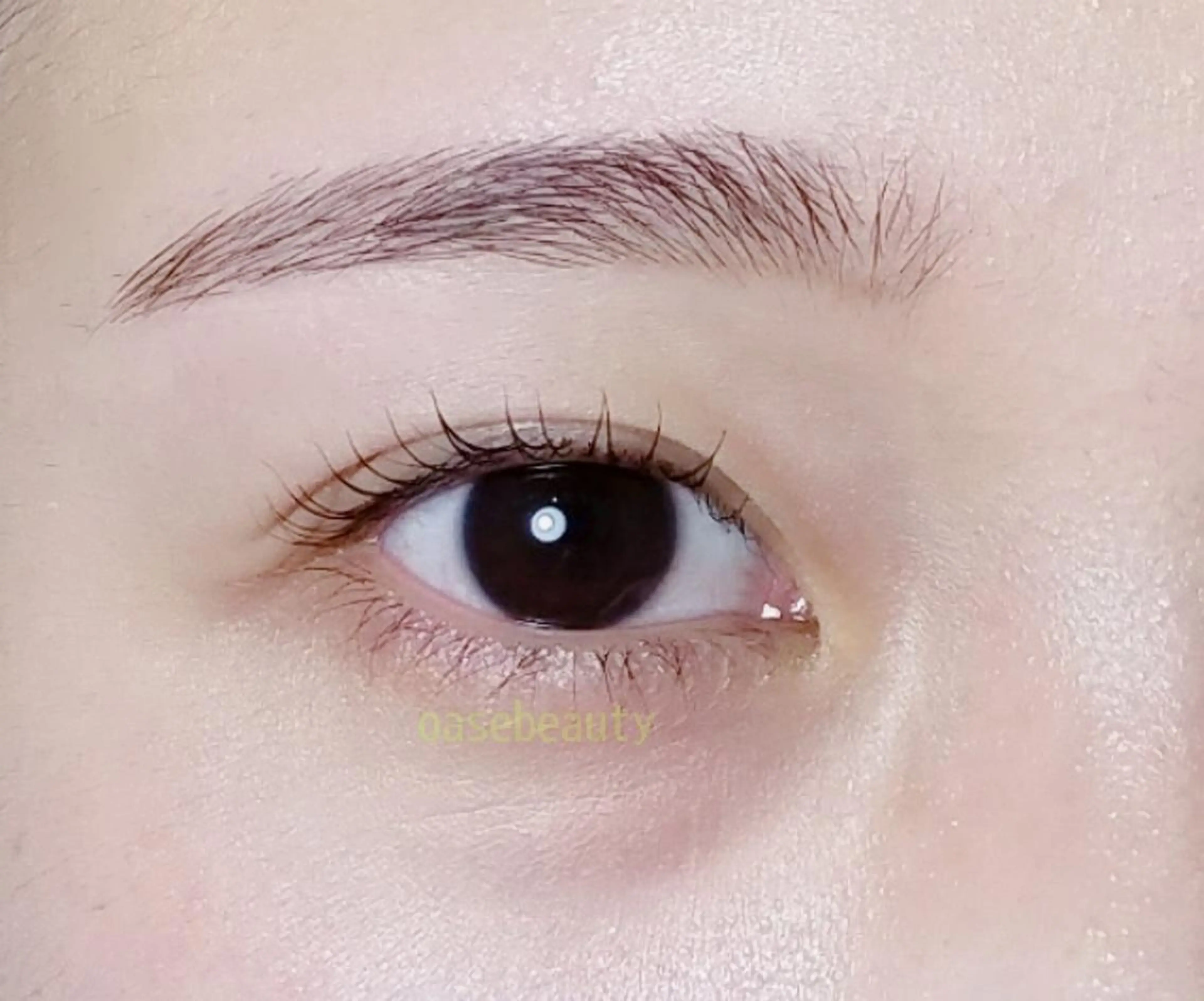 アイブロウ アイラッシュ オアーゼ Ｊｒのマツエク・マツパデザイン