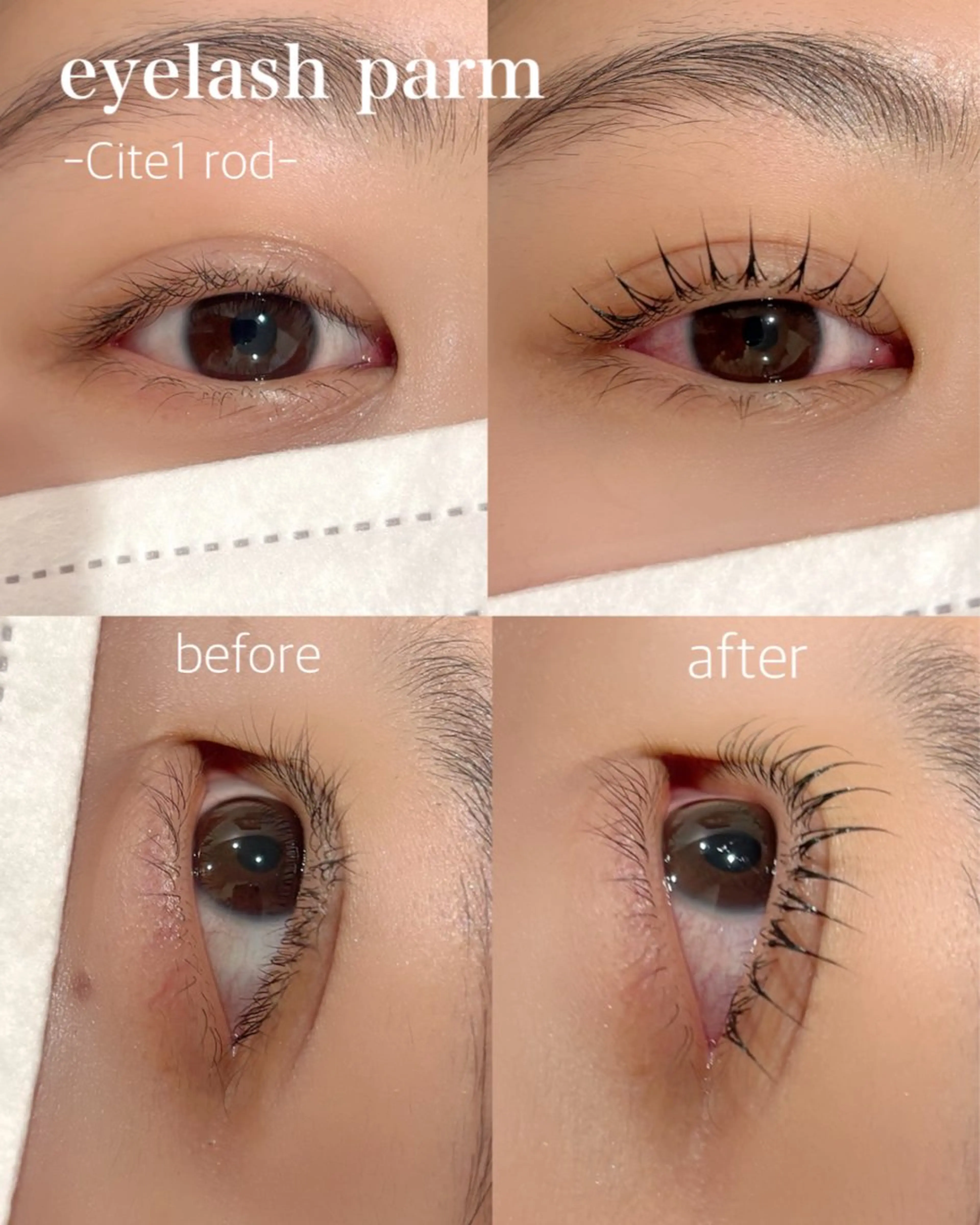 マツエク・マツパ 🩵ANELA東口 齋藤琴音💚のマツエク・マツパデザイン