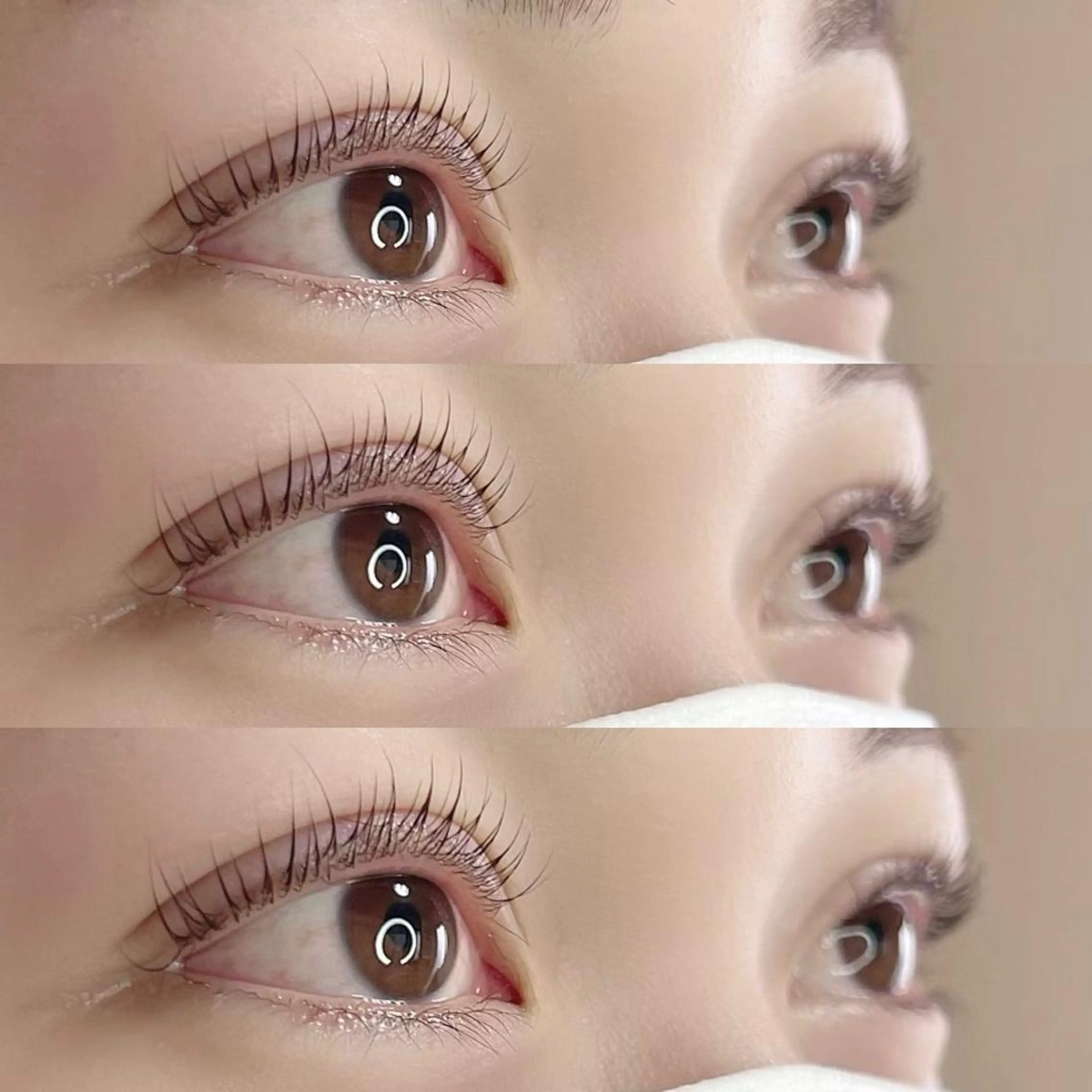 マツエク・マツパ Madonna Lilyのマツエク・マツパデザイン