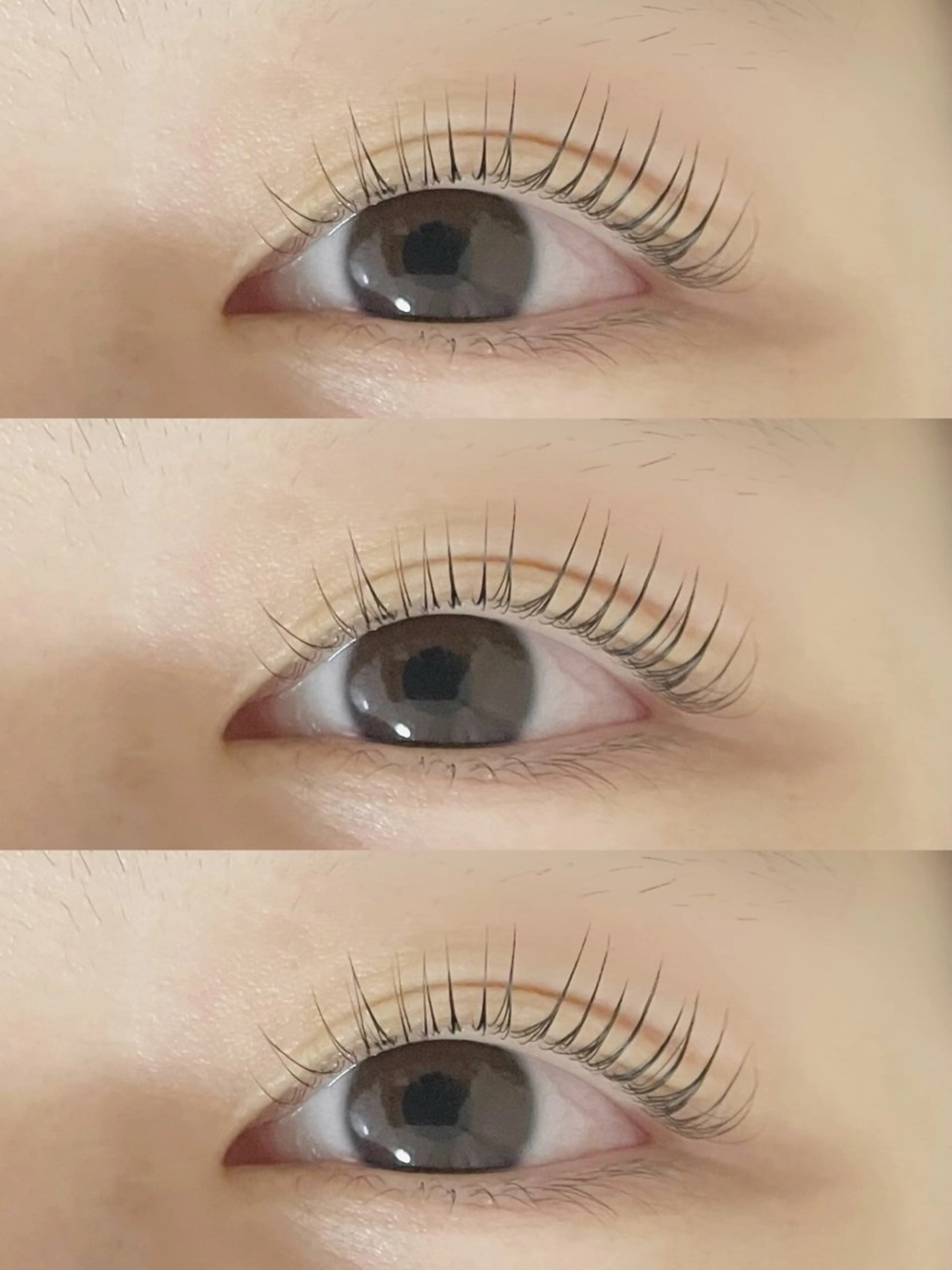 マツエク・マツパ マツパ Pupu lash所属・🐩Pupu staff🤍の眉毛・アイブロウイメージ