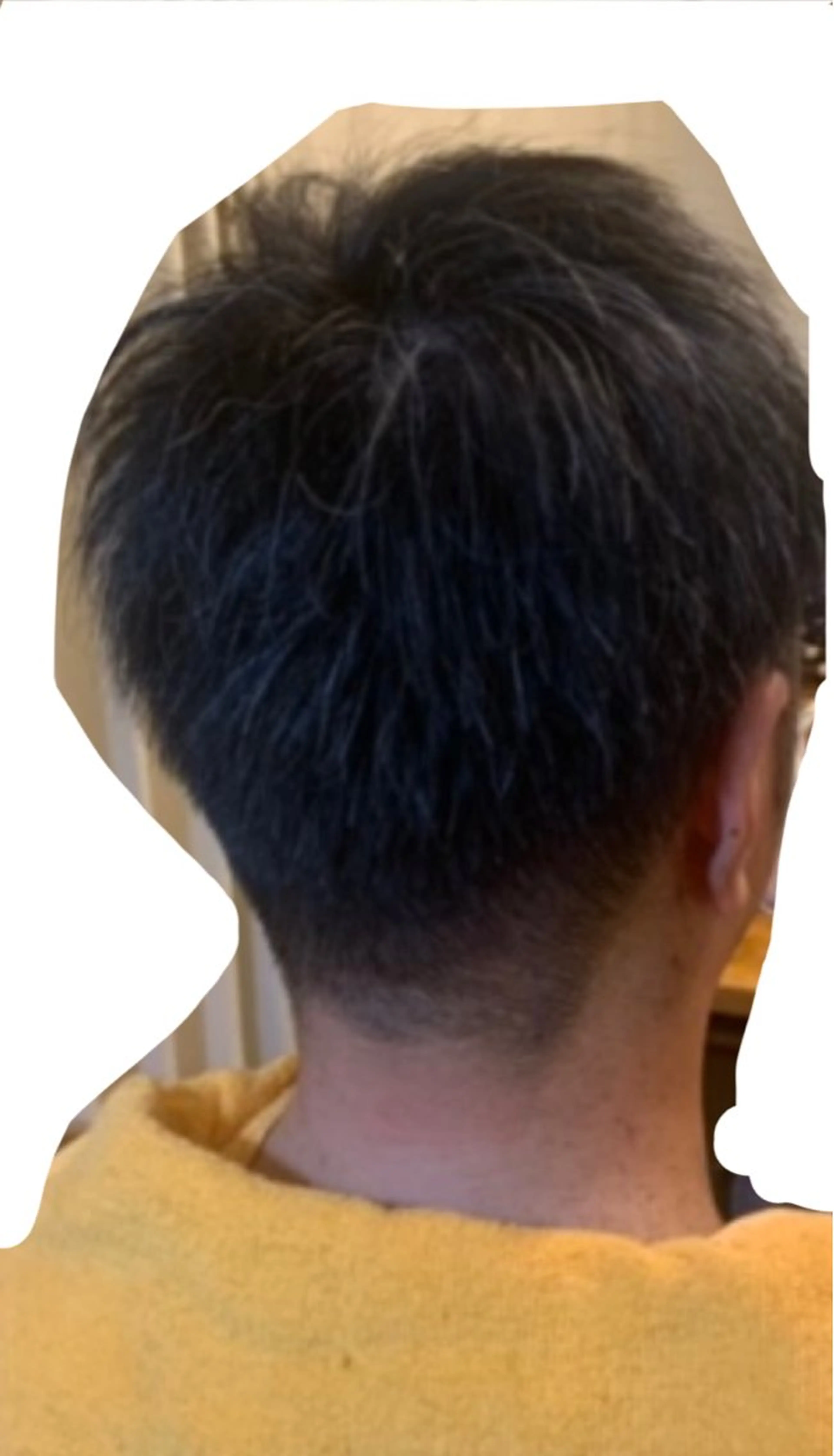 メンズ限定　メンズカットの写真