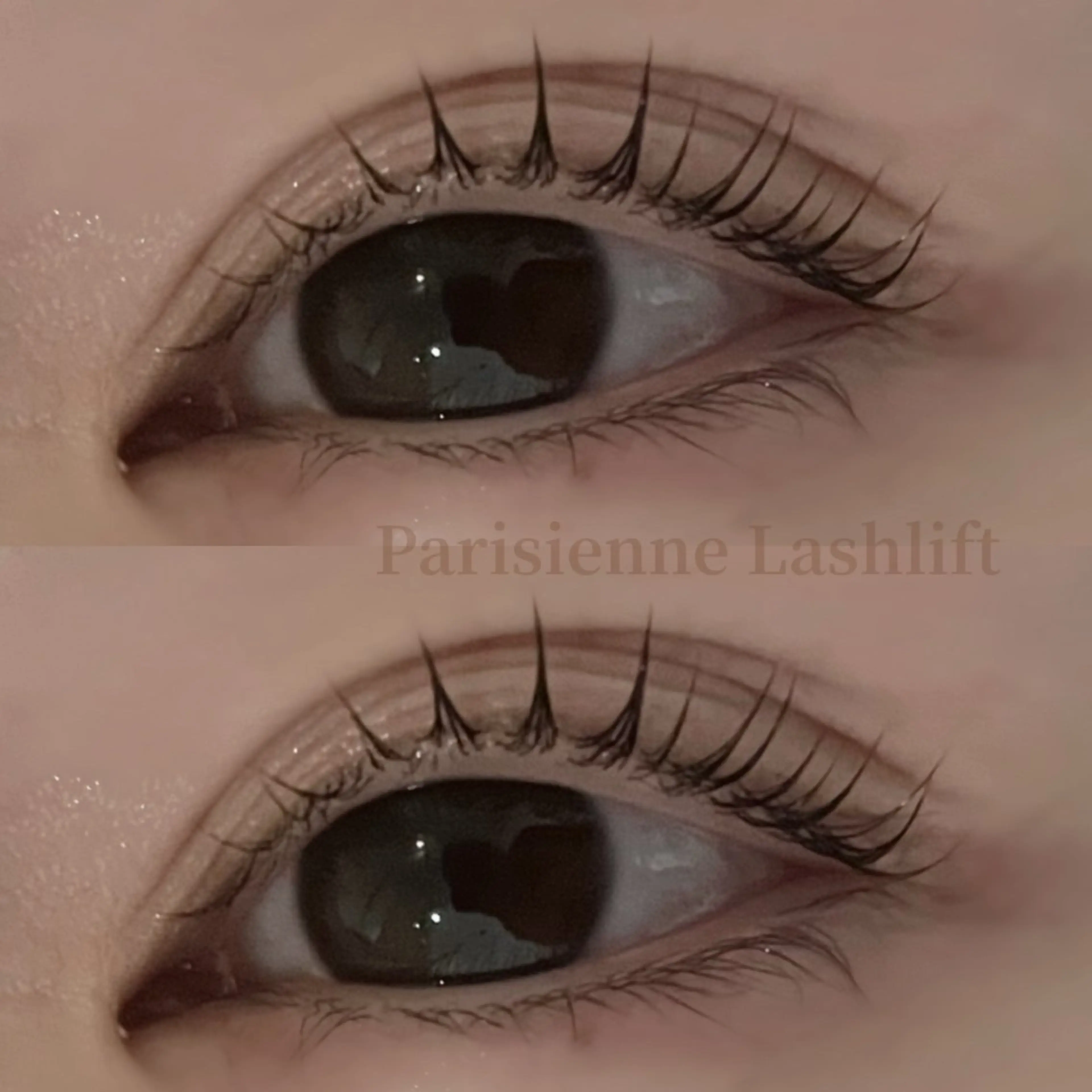 マツエク・マツパ マツパ PutiLuca 面川のマツエク・マツパデザイン