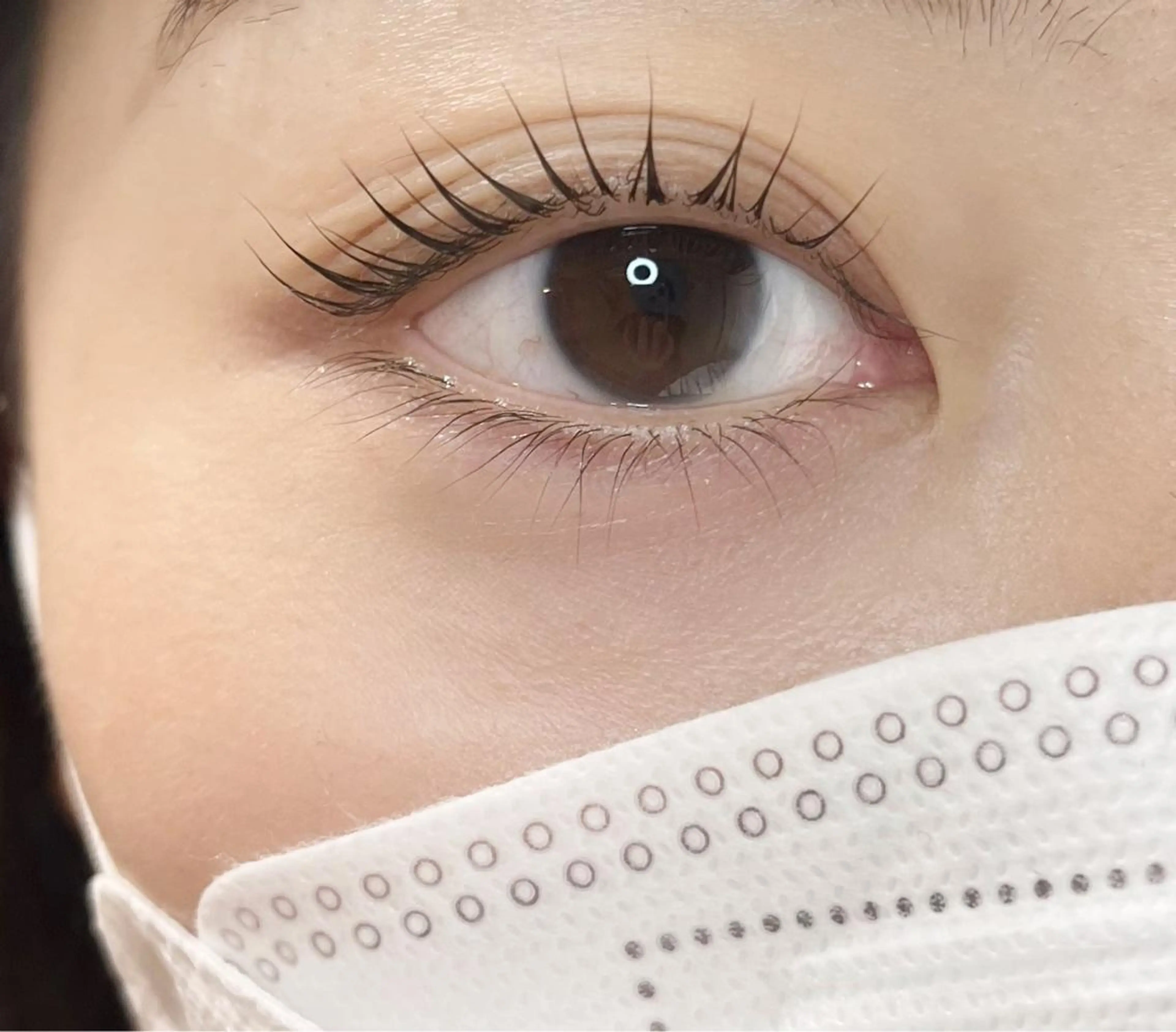 マツエク・マツパ ナチュラル マツパ Frau 梅宮のマツエク・マツパデザイン