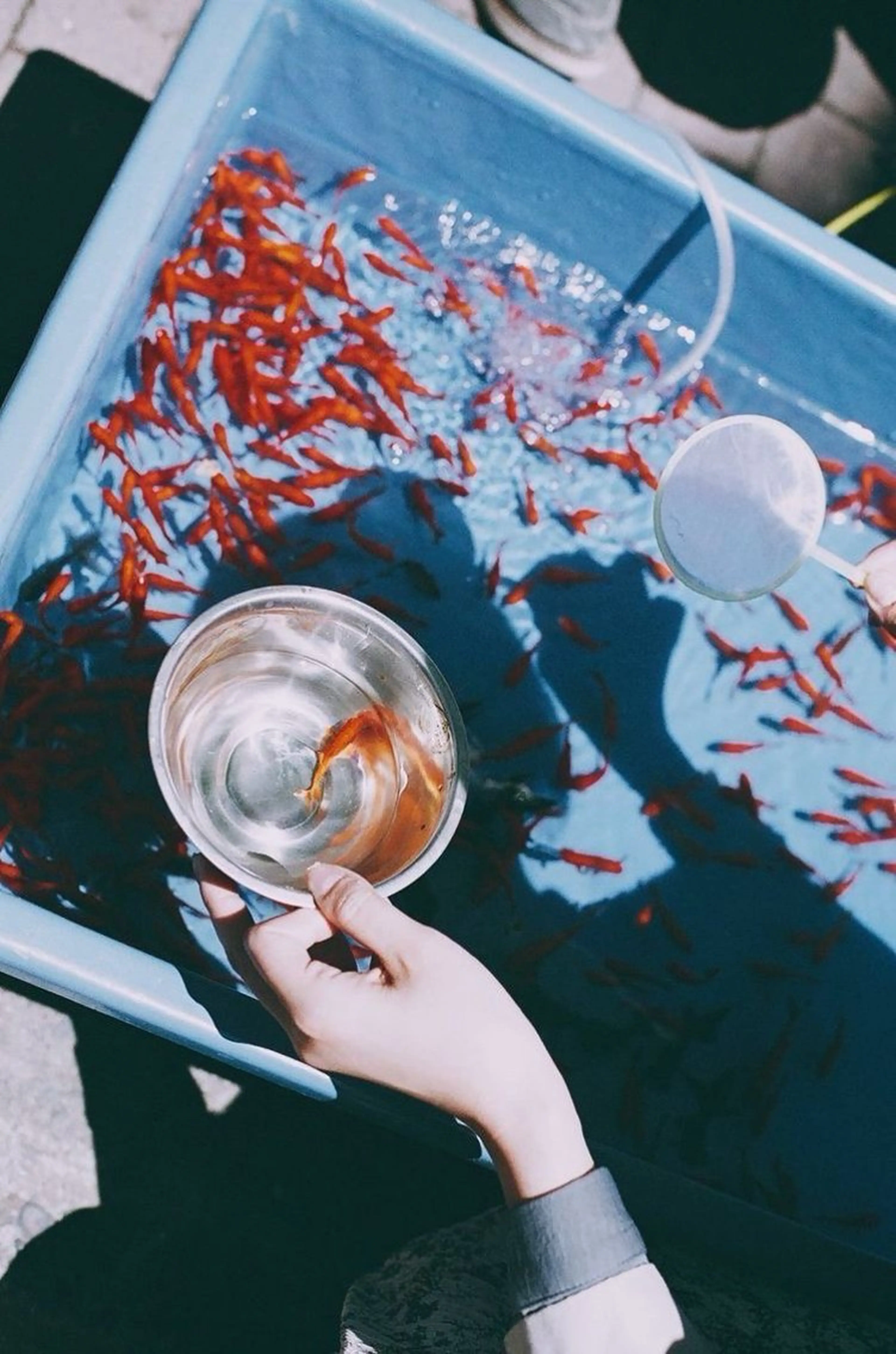 ᴛᴏᴍᴏᴋᴀ / ᴄʜᴇʀɪのヘアスタイル