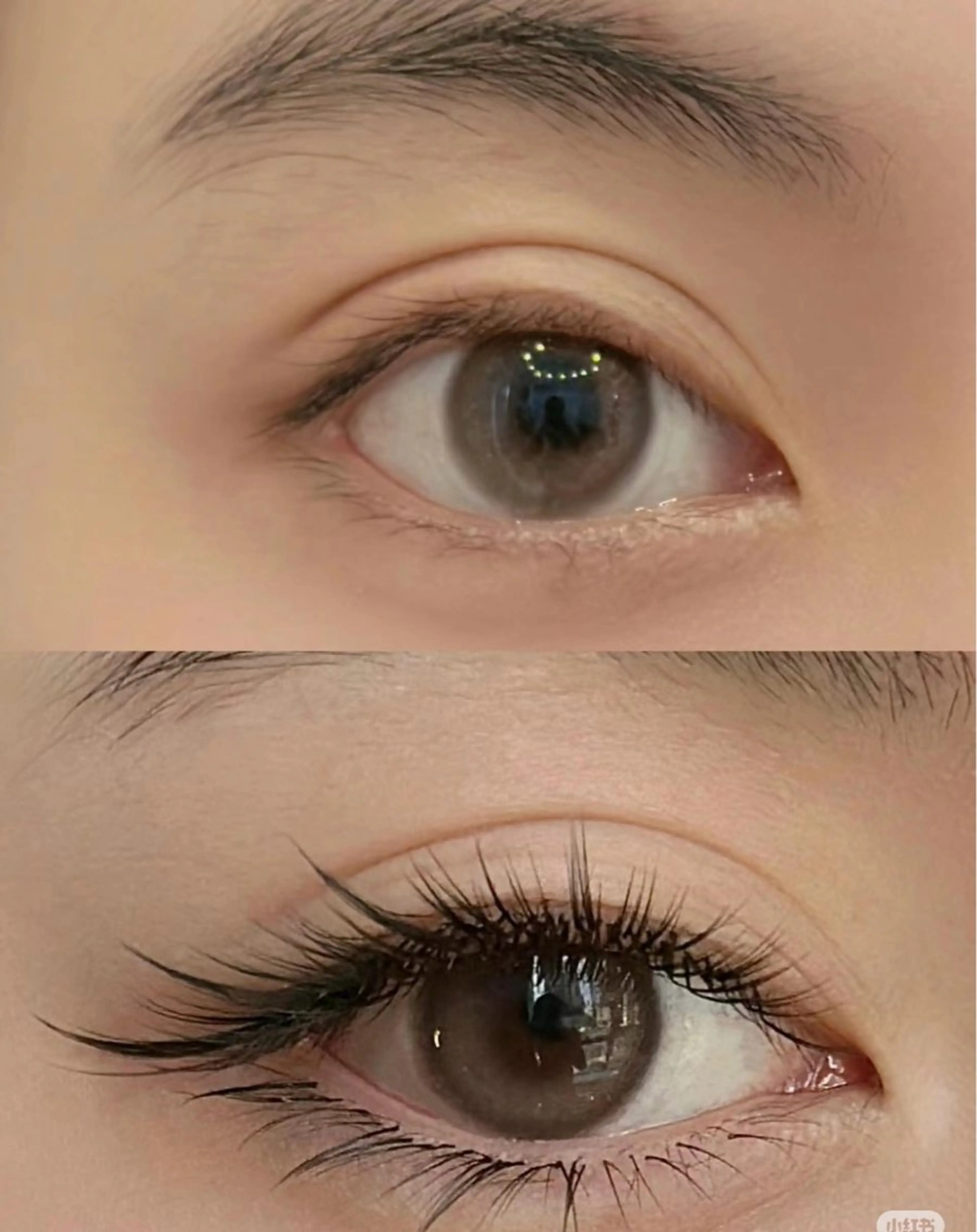 マツエク・マツパ 🔆日月潭🌙 銀座店のマツエク・マツパデザイン