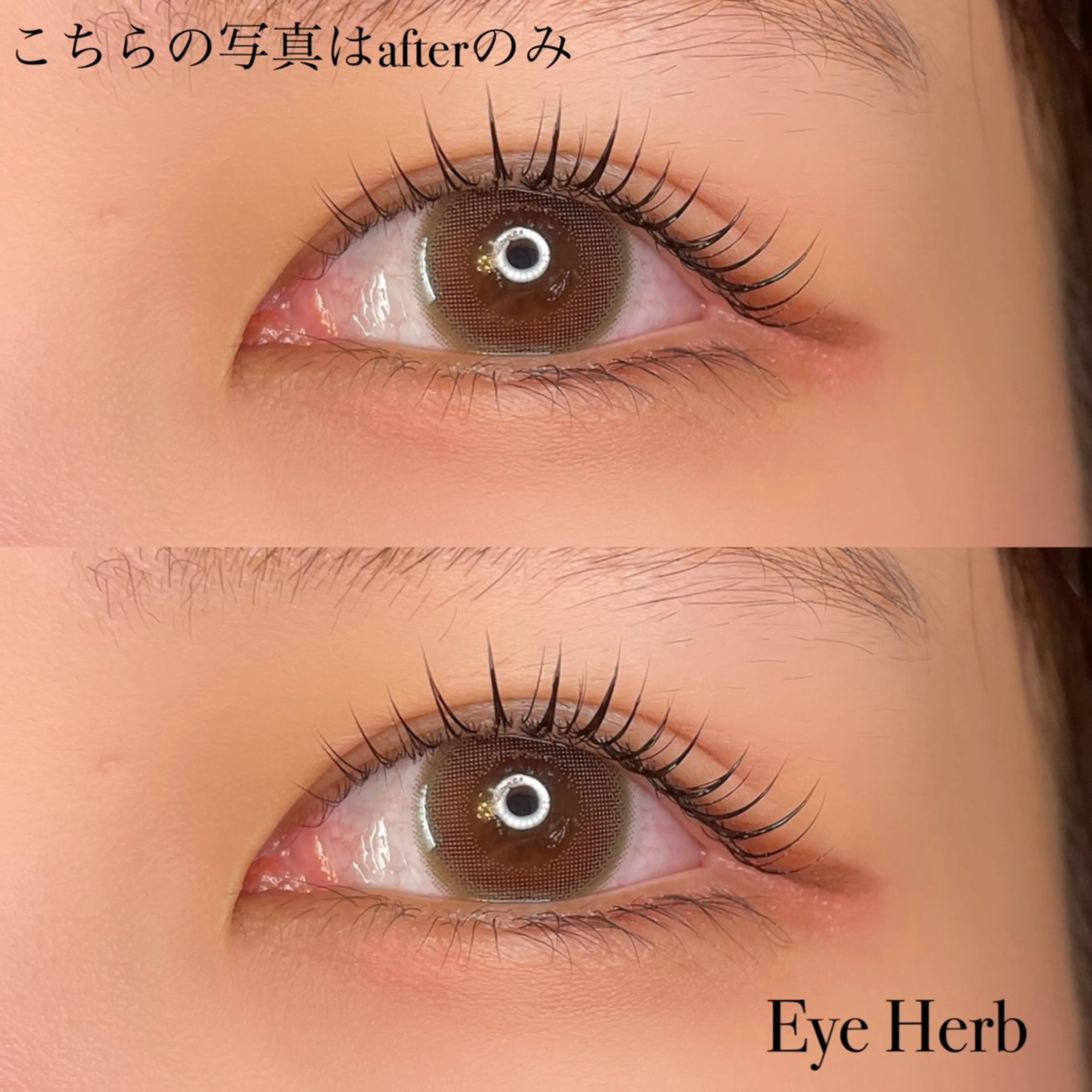 ケラチンラッシュリフト🪞🕊️の写真