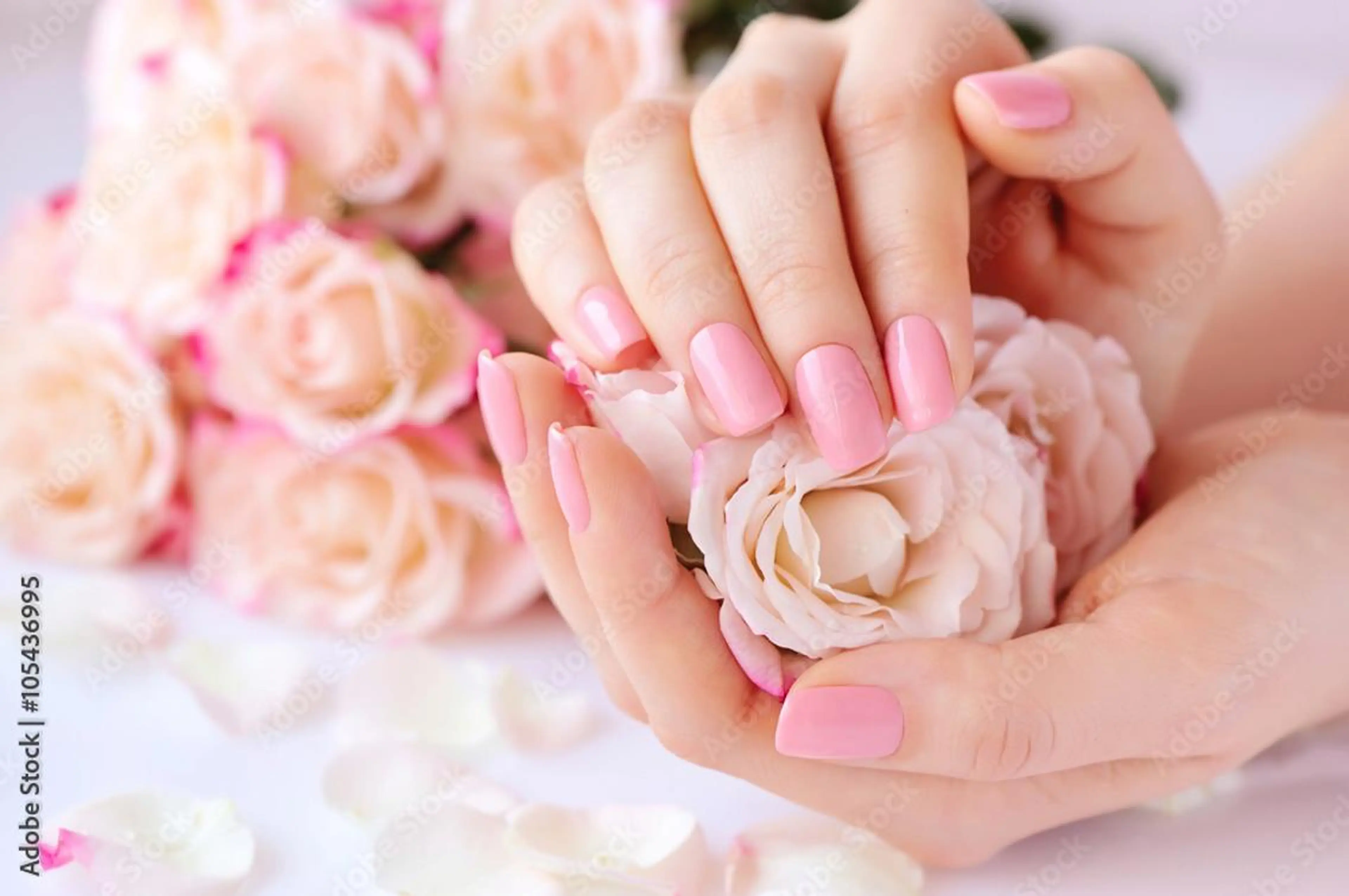 ネイル studio bello所属・studio belloの眉毛・アイブロウイメージ