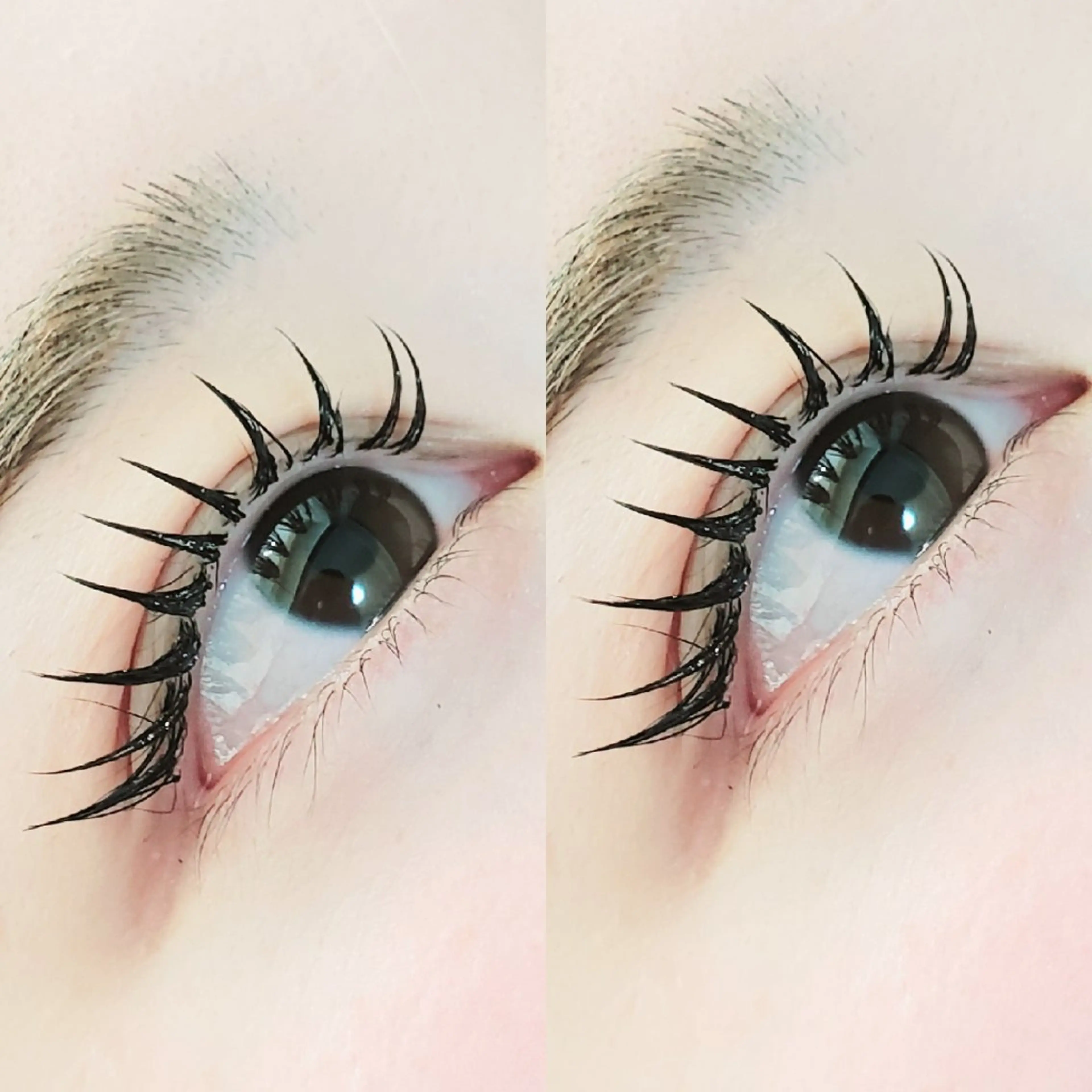 マツエク・マツパ 束感まつ毛 フラットラッシュ 韓国風マツエク マツエク セレビアイ 磯山☆ LEDエクステ☆立川のマツエク・マツパデザイン