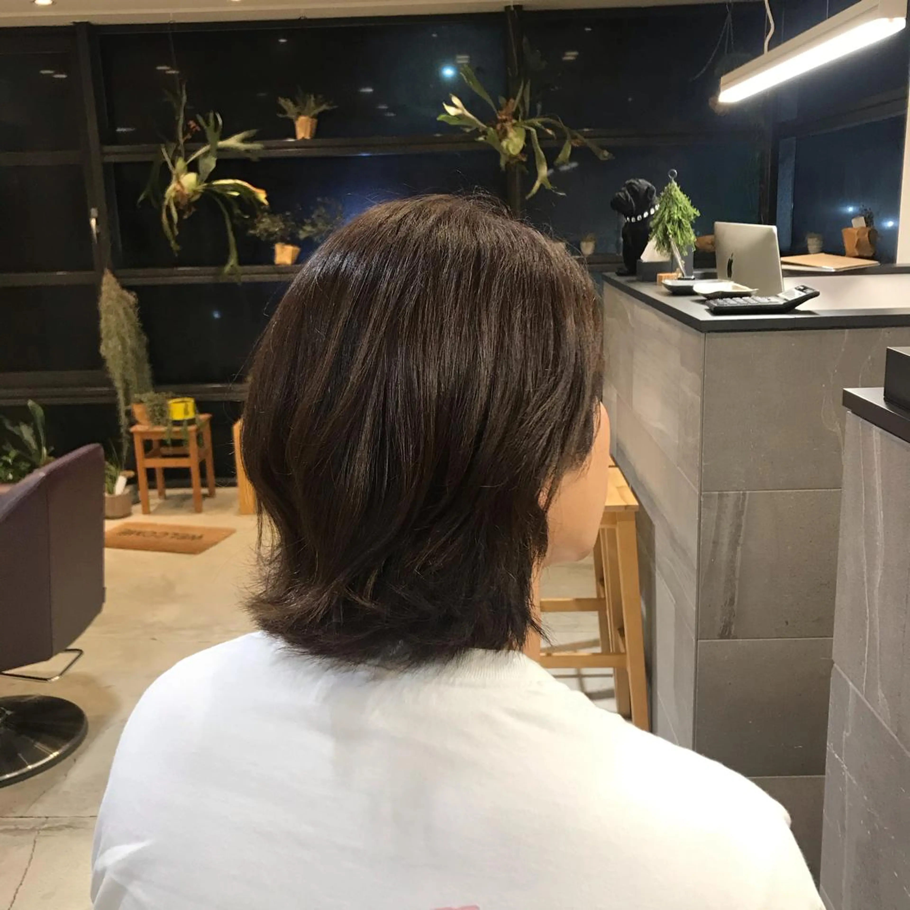ショート 菅原 彩加のヘアスタイル