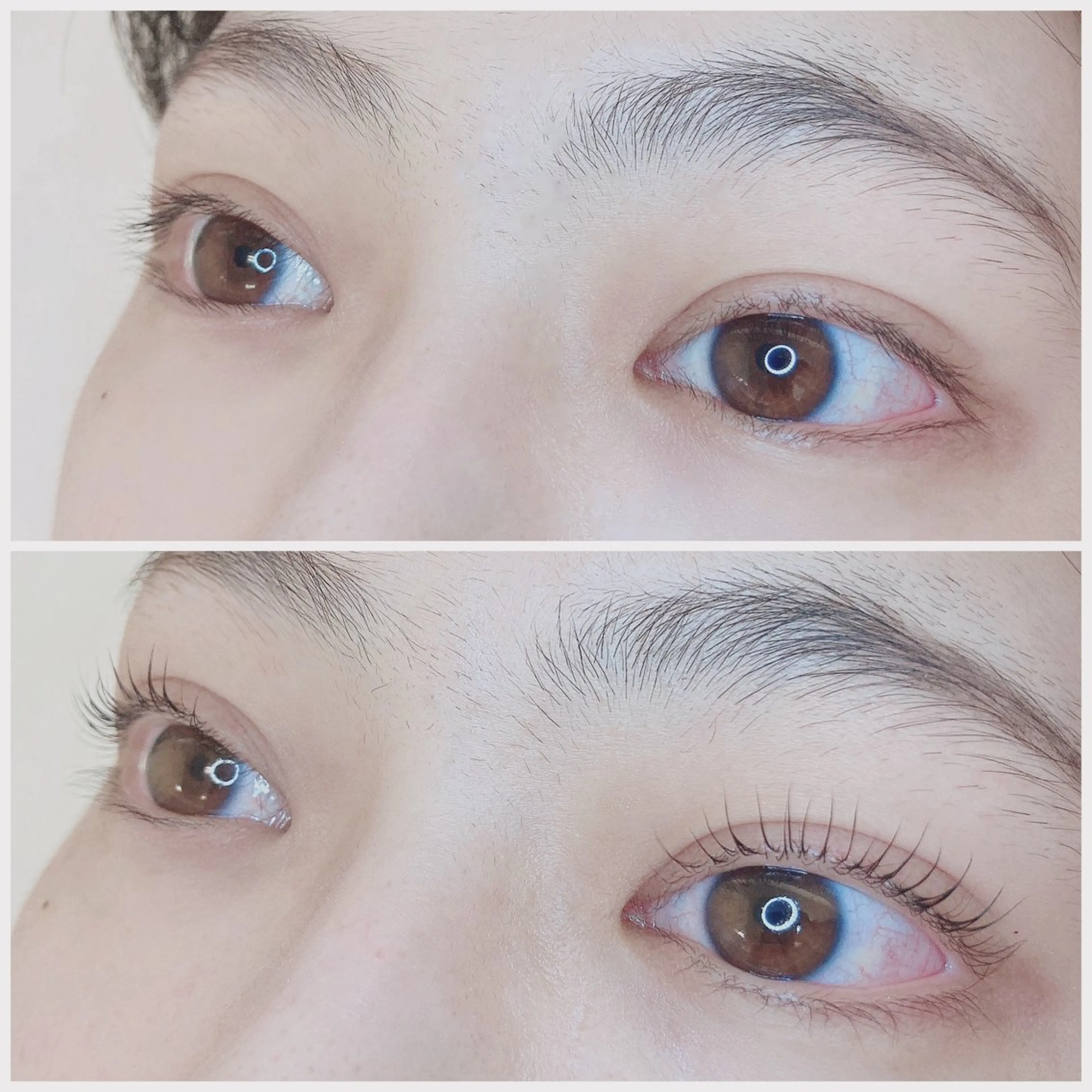 マツエク・マツパ TIARA池袋西口店 店長YASUKA💐のマツエク・マツパデザイン