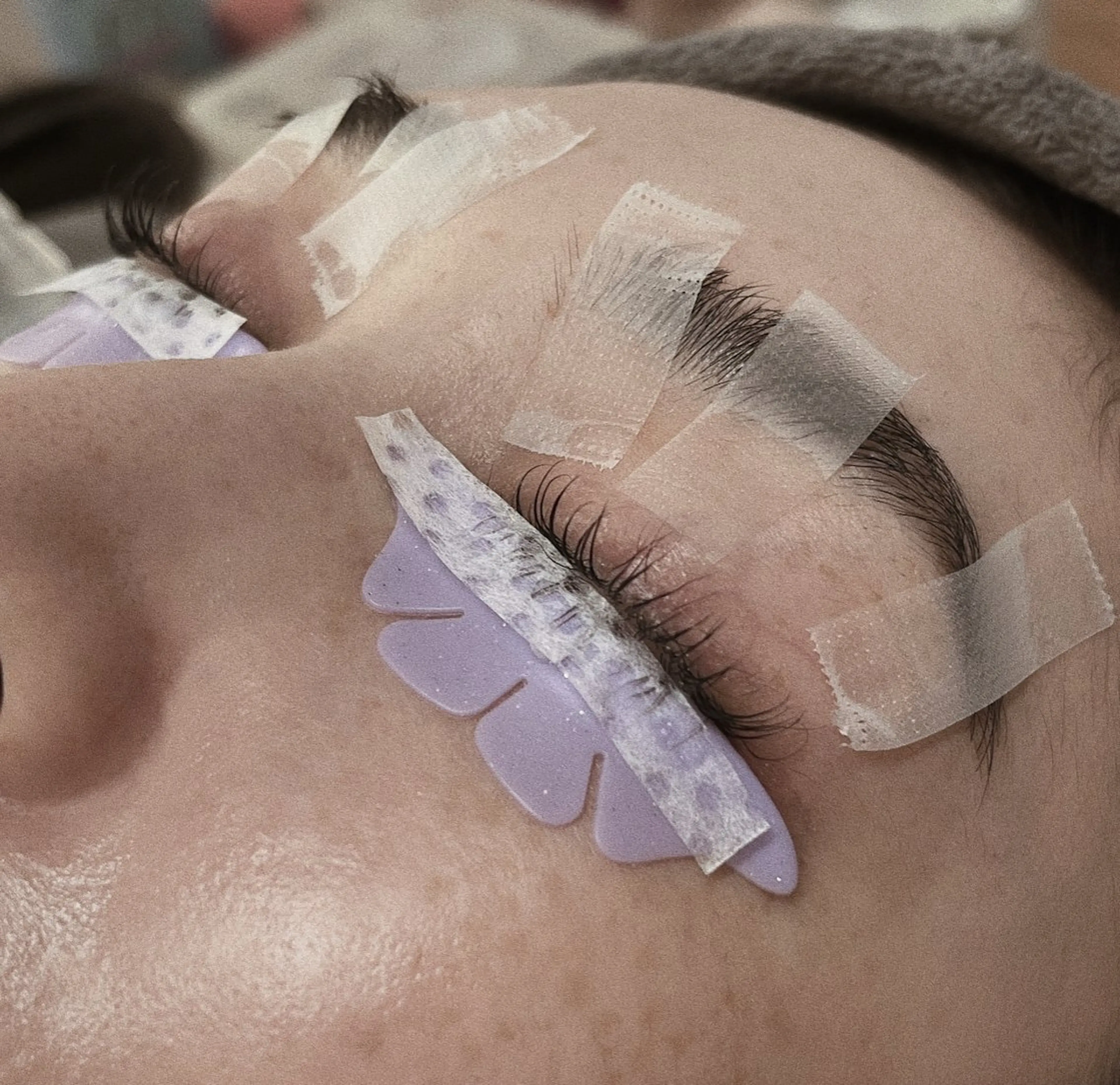 まつ毛パーマ(下)の写真