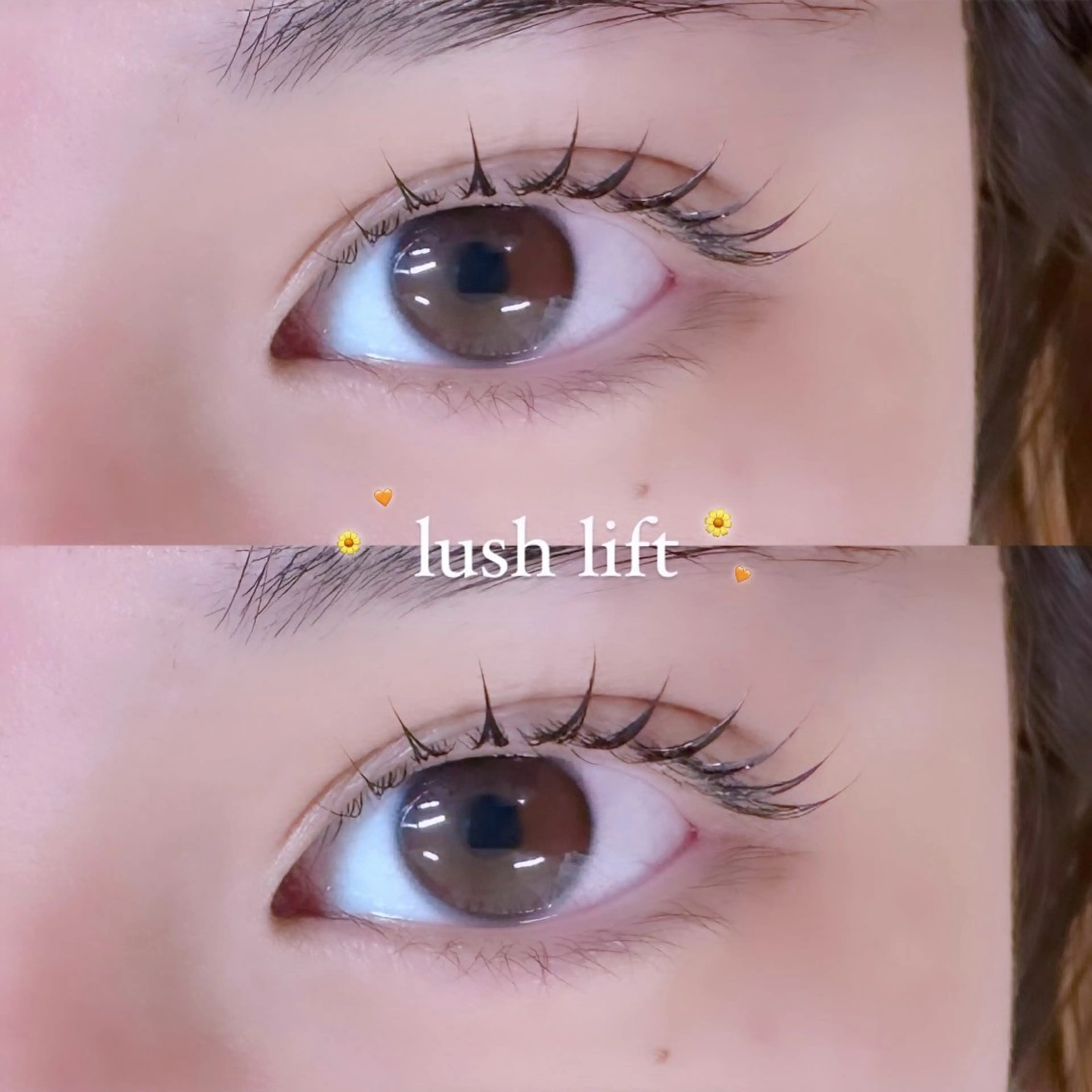 マツエク・マツパ Shucre名駅🤍 AYUのマツエク・マツパデザイン