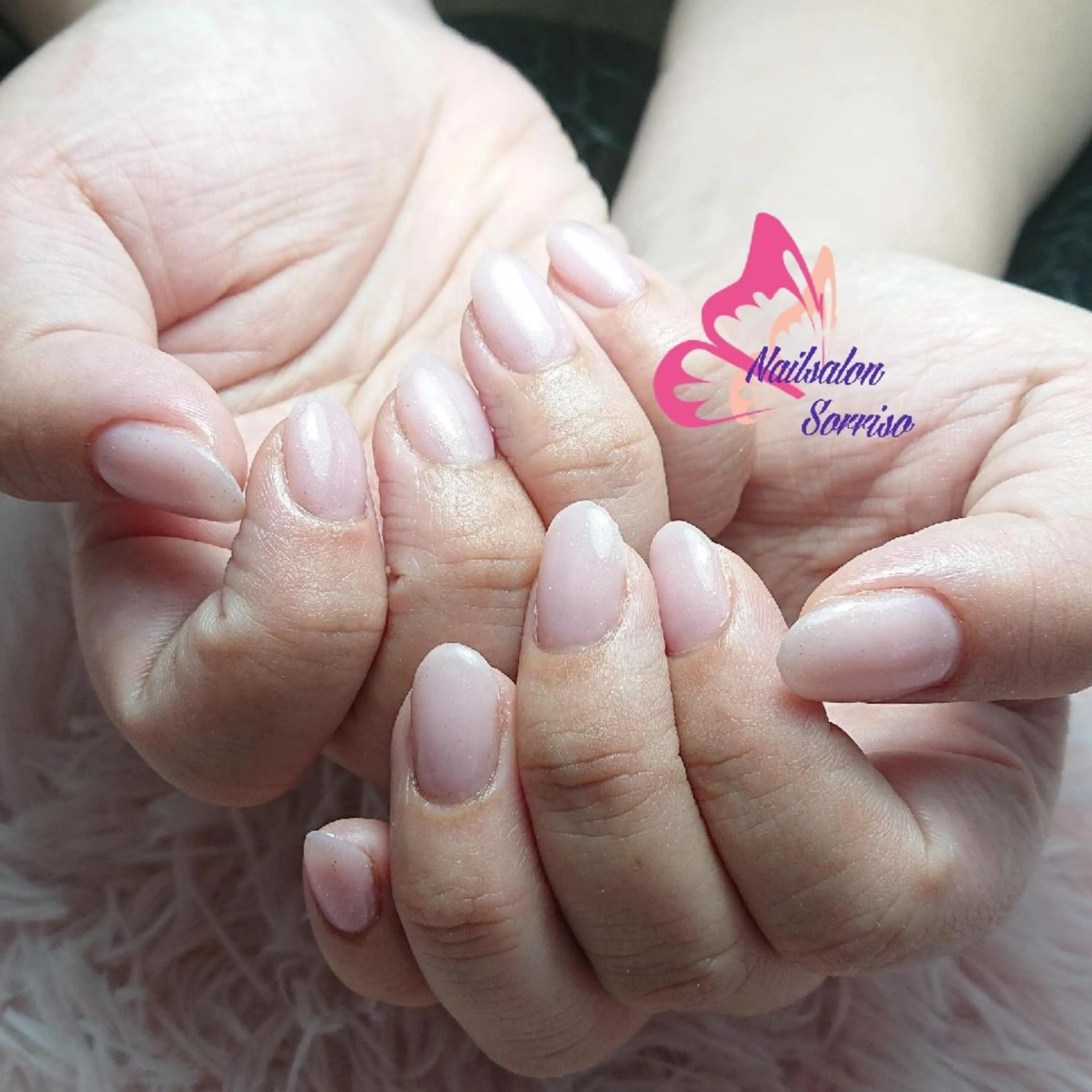 ネイル ワンカラーネイル KOYAMA KIMIEのネイルデザイン