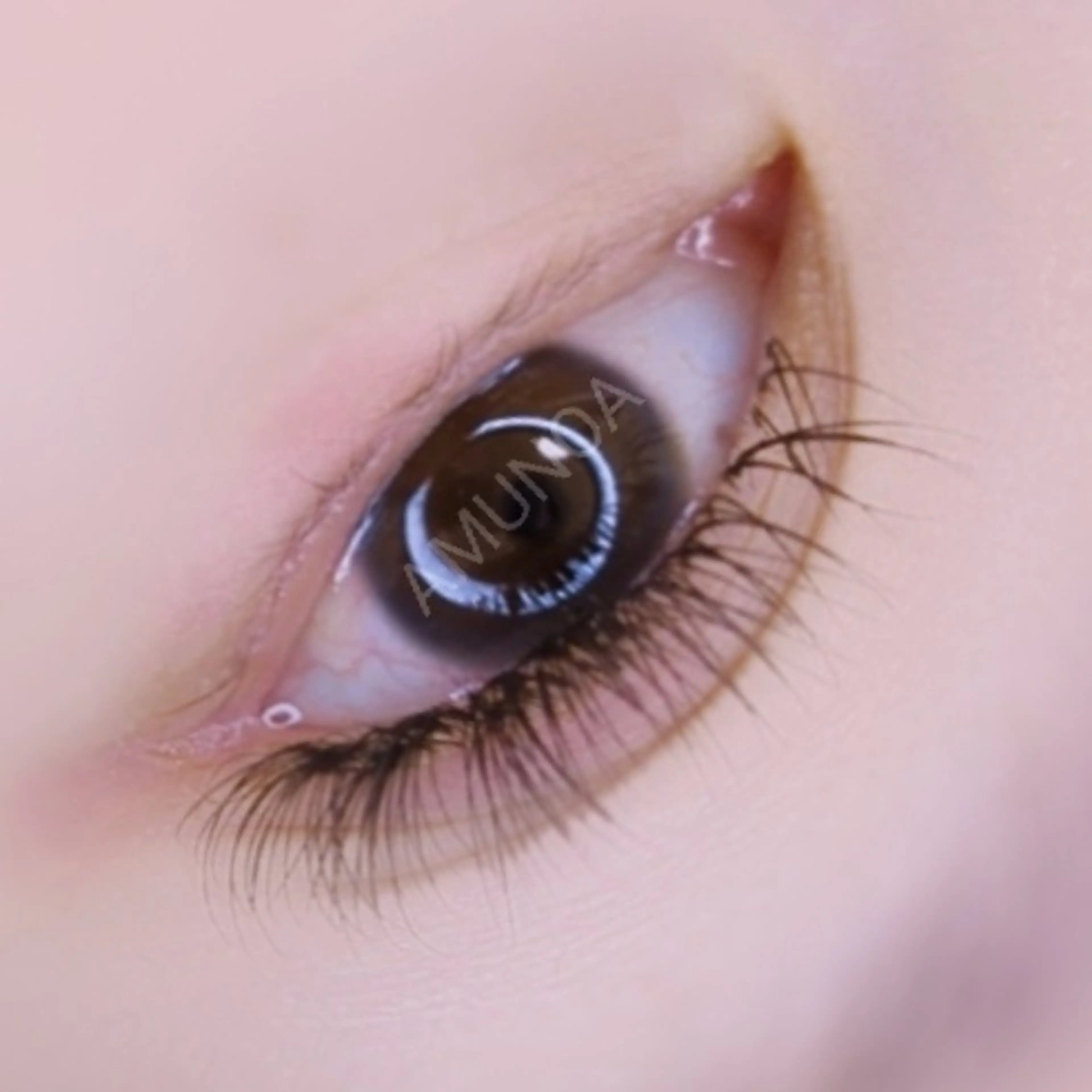 マツエク・マツパ マツエク 美容室アムノア所属・美容室 AMUNOAのマツエク・マツパデザイン