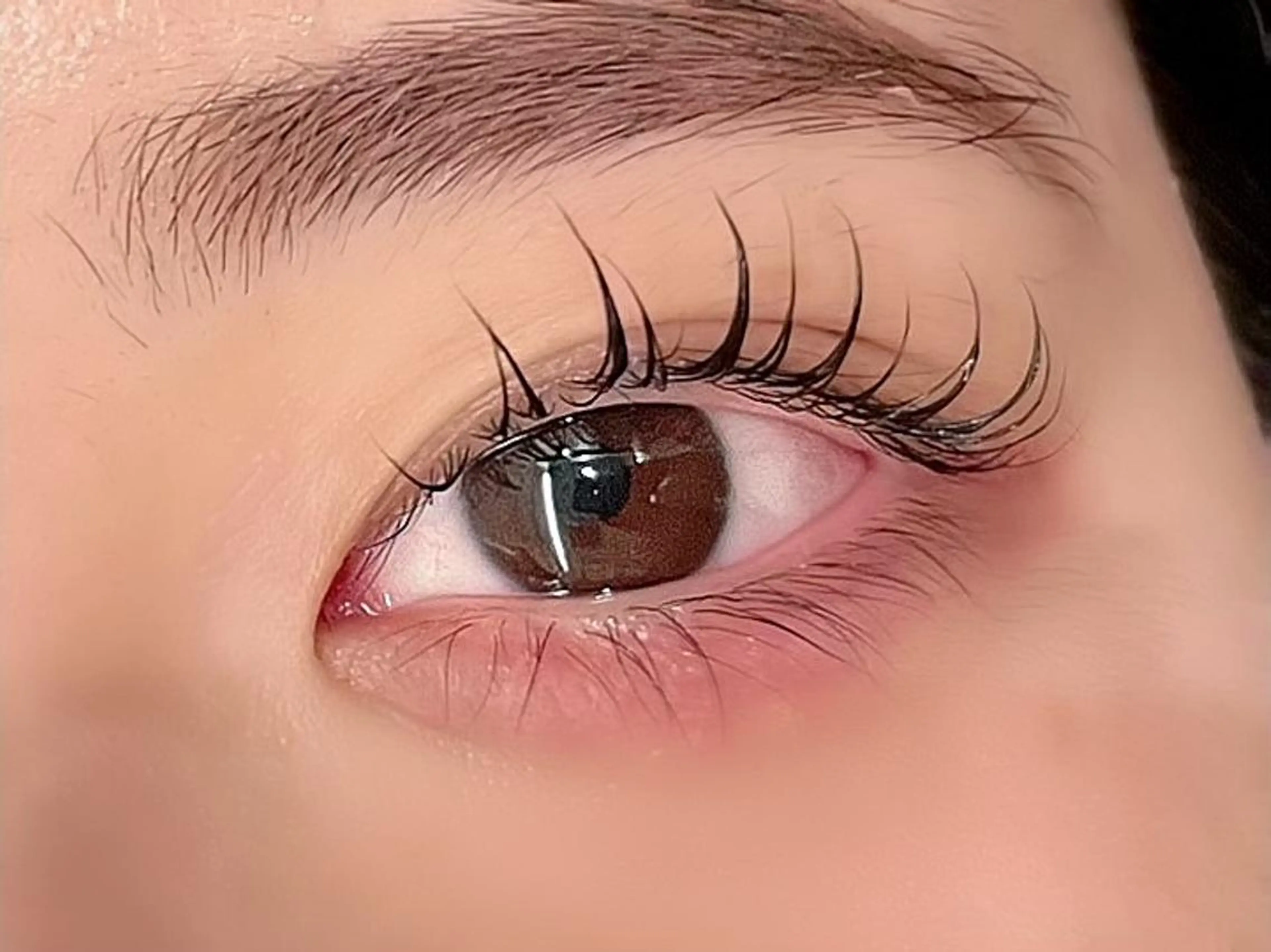 マツエク・マツパ マツパ Fave【フェイブ】 まつパ/眉毛/メンズのマツエク・マツパデザイン