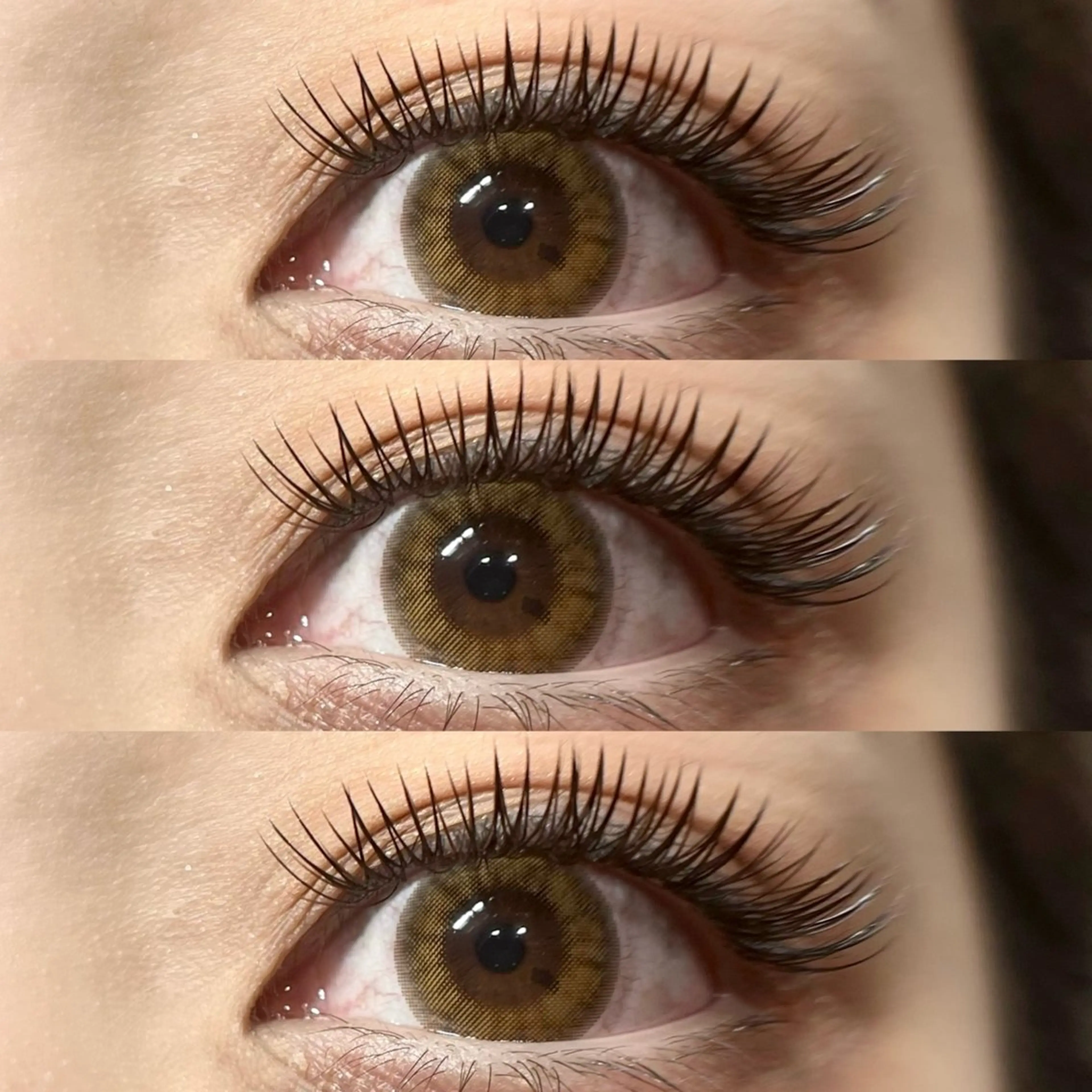 【1月限定☀️】メガフラットラッシュ（オフ込み）👀🤍（60束.80束）の写真