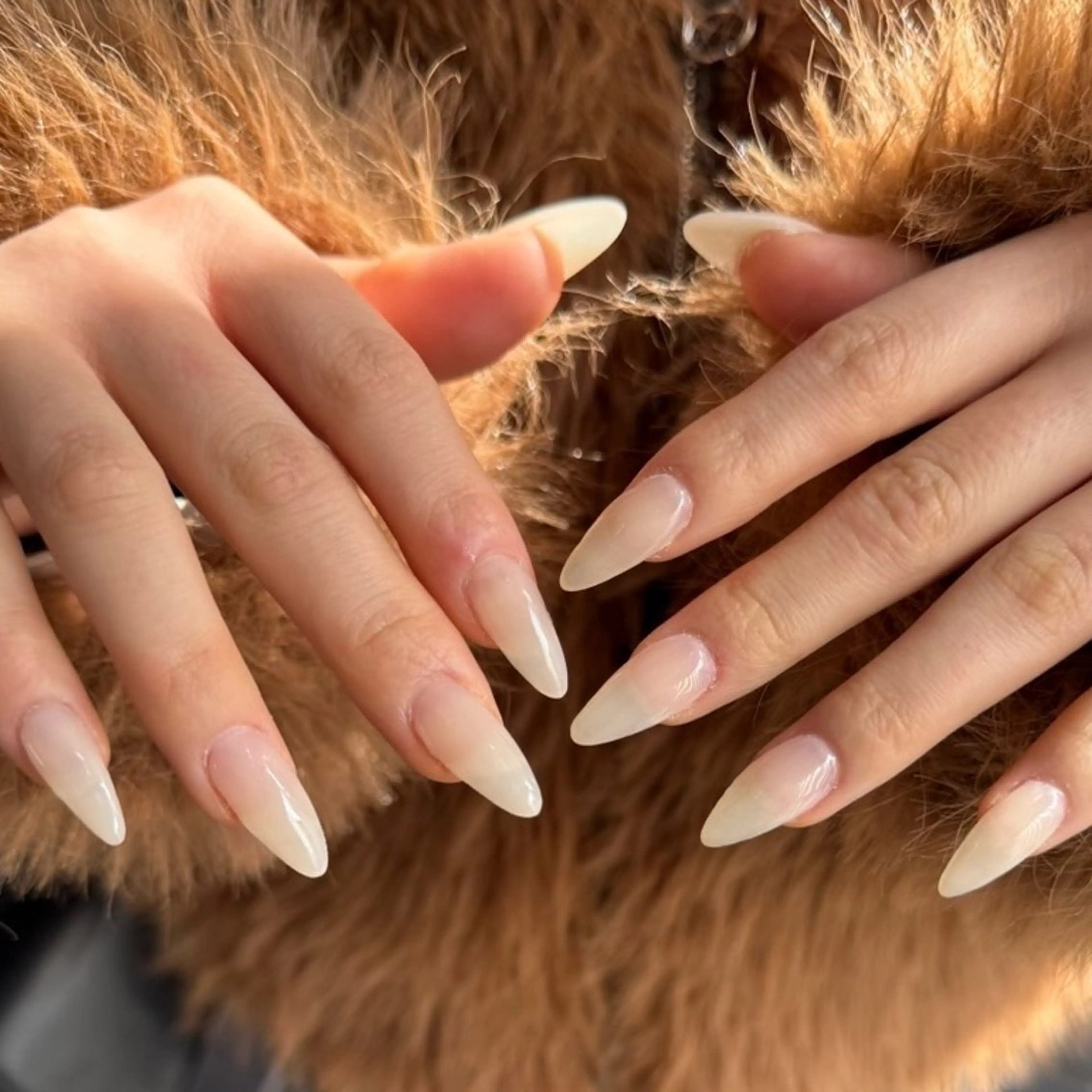 【🧡❤️🩷半透明ワンカラー💜💙🩵】　★限定価格★の写真