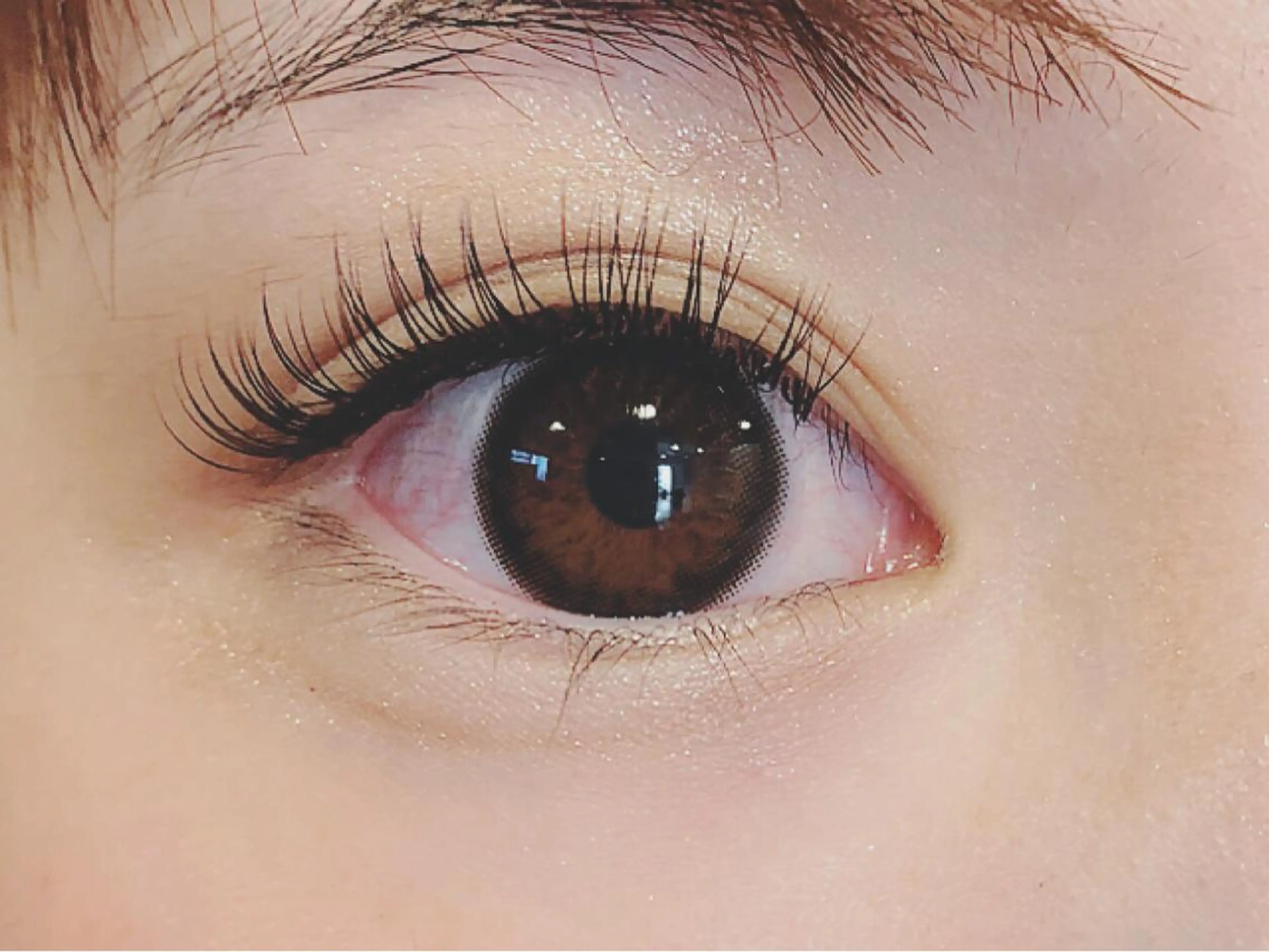 マツエク・マツパ デイジーラッシュ 大阪駅前第3ビルのマツエク・マツパデザイン