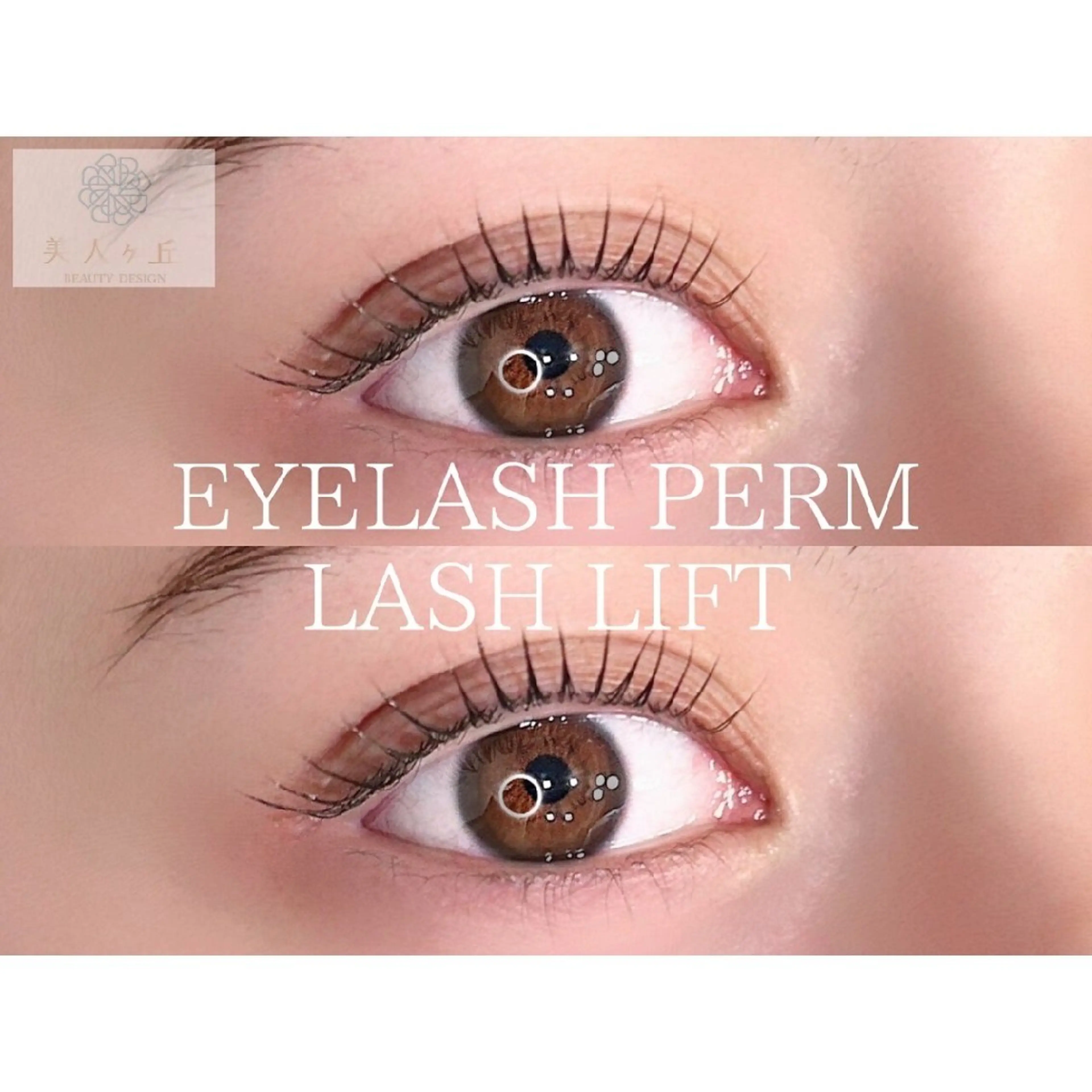 【12/24】来店限定◆ラッシュリフト/まつ毛パーマ◆束感仕上げ💎ミニモ特別価格でご案内♪メンズ/学生/ペア利用/学割の写真