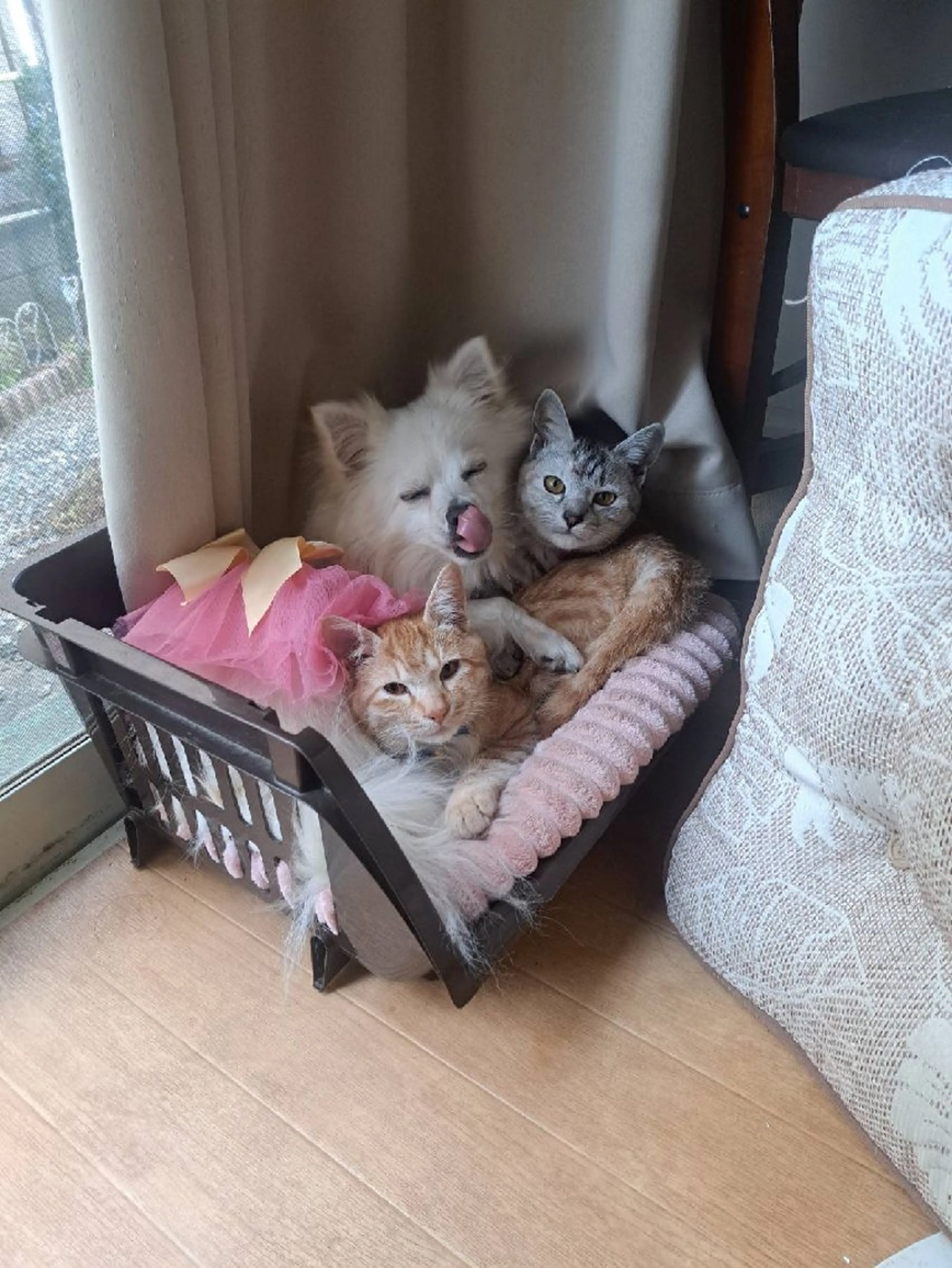 4Care所属・白金 千加子のエステ・リラクイメージ