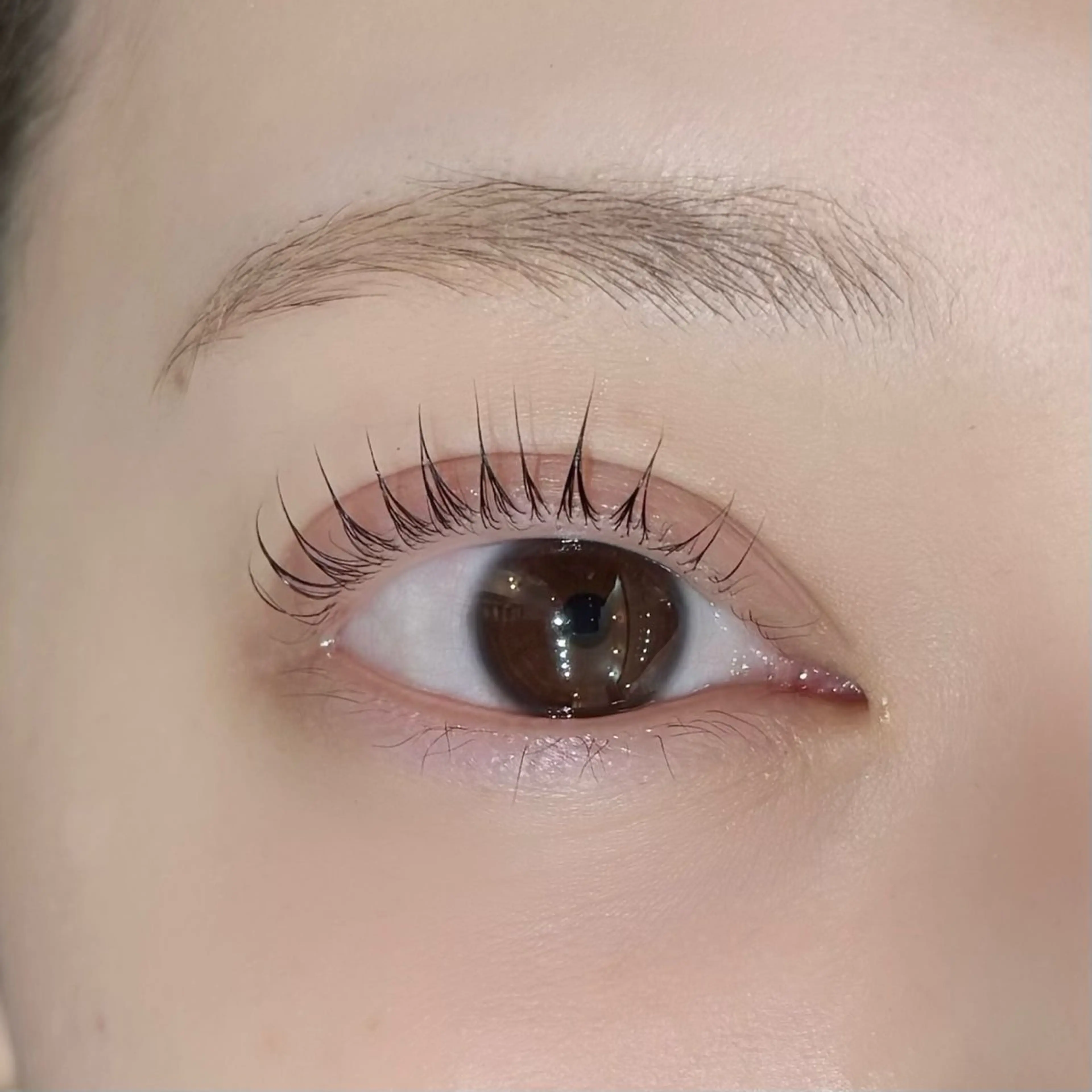 パリジェンヌラッシュリフト【美容液コーティング付き】の写真