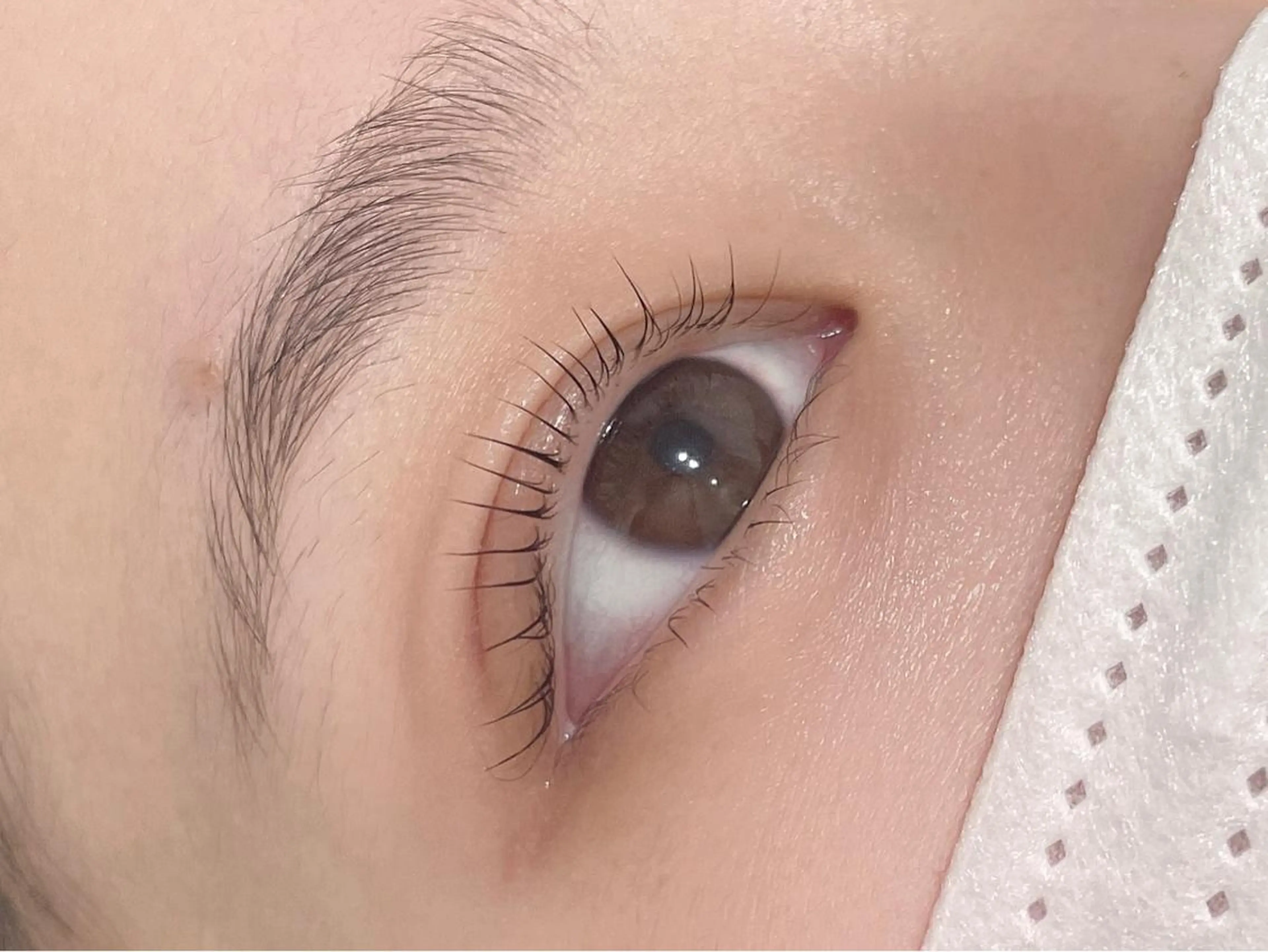 格安🍃目元ぱっちり👀パリジェンヌラッシュリフト上下セット🦋　（下まつげパーマ）※補足説明を必ずお読みくださいの写真