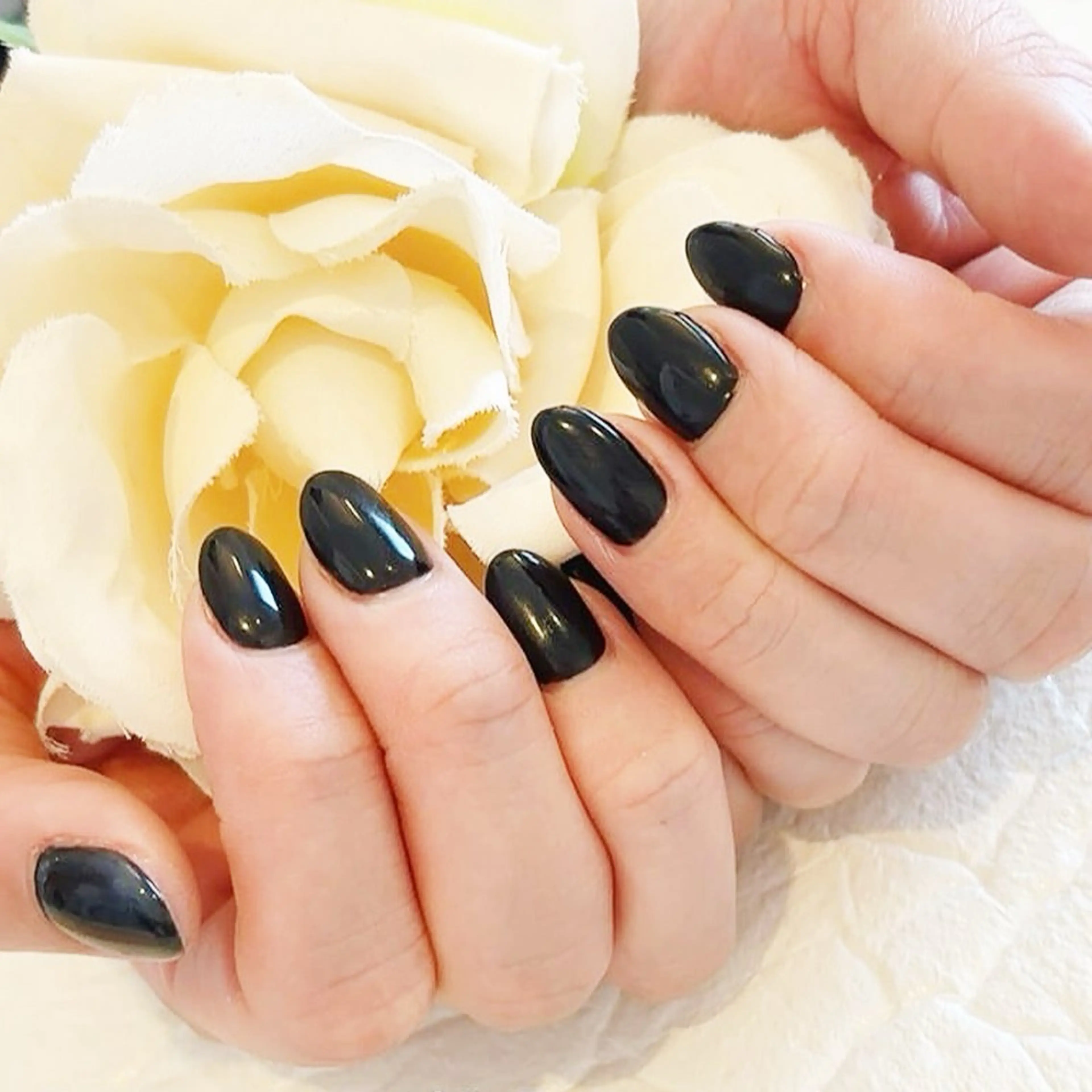 【ワンカラー×30分仕上げ】の写真